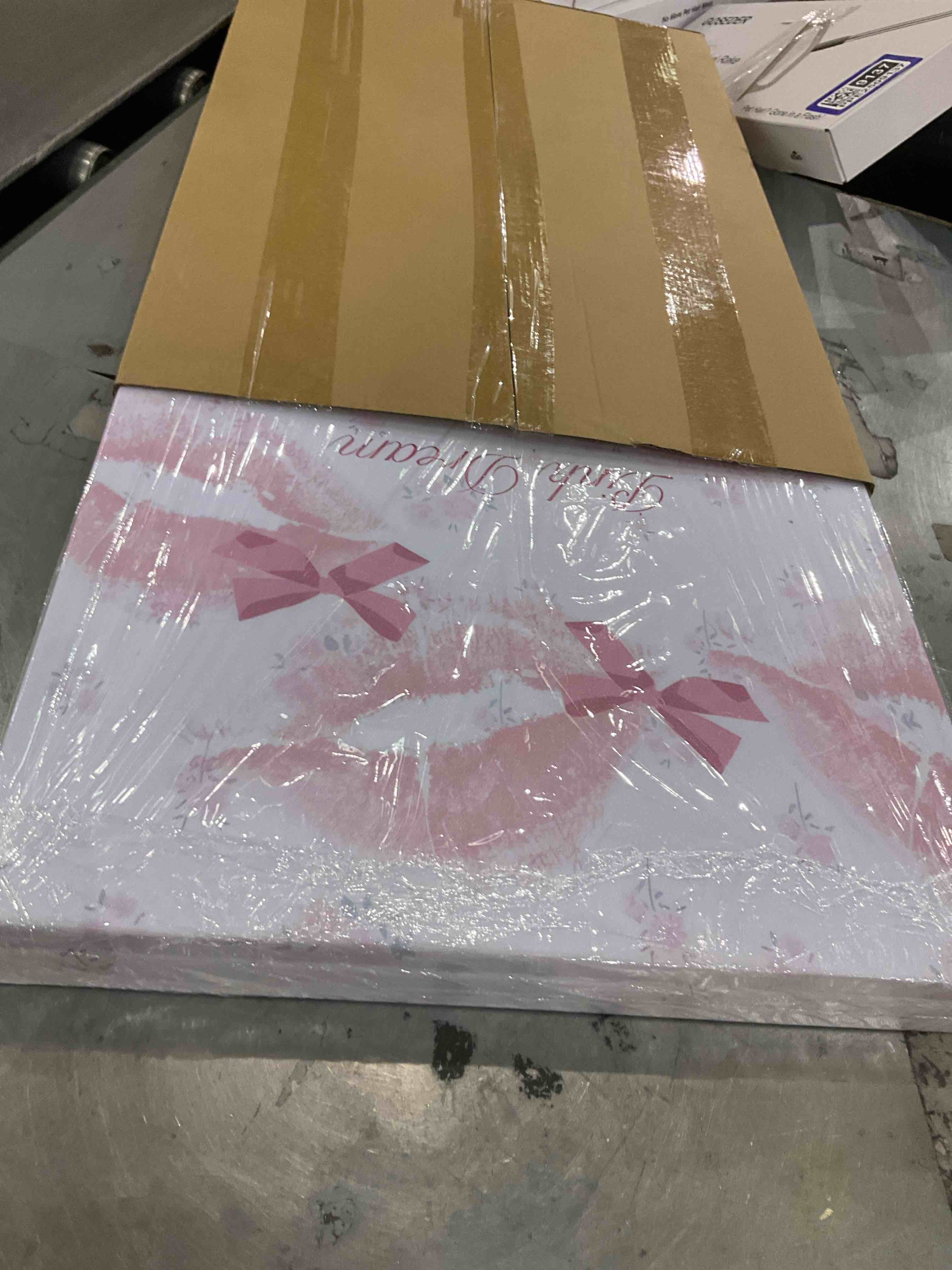 https://s3.amazonaws.com/lotting-images-prod/bidfta/PPE2499300_1746624679968.jpeg