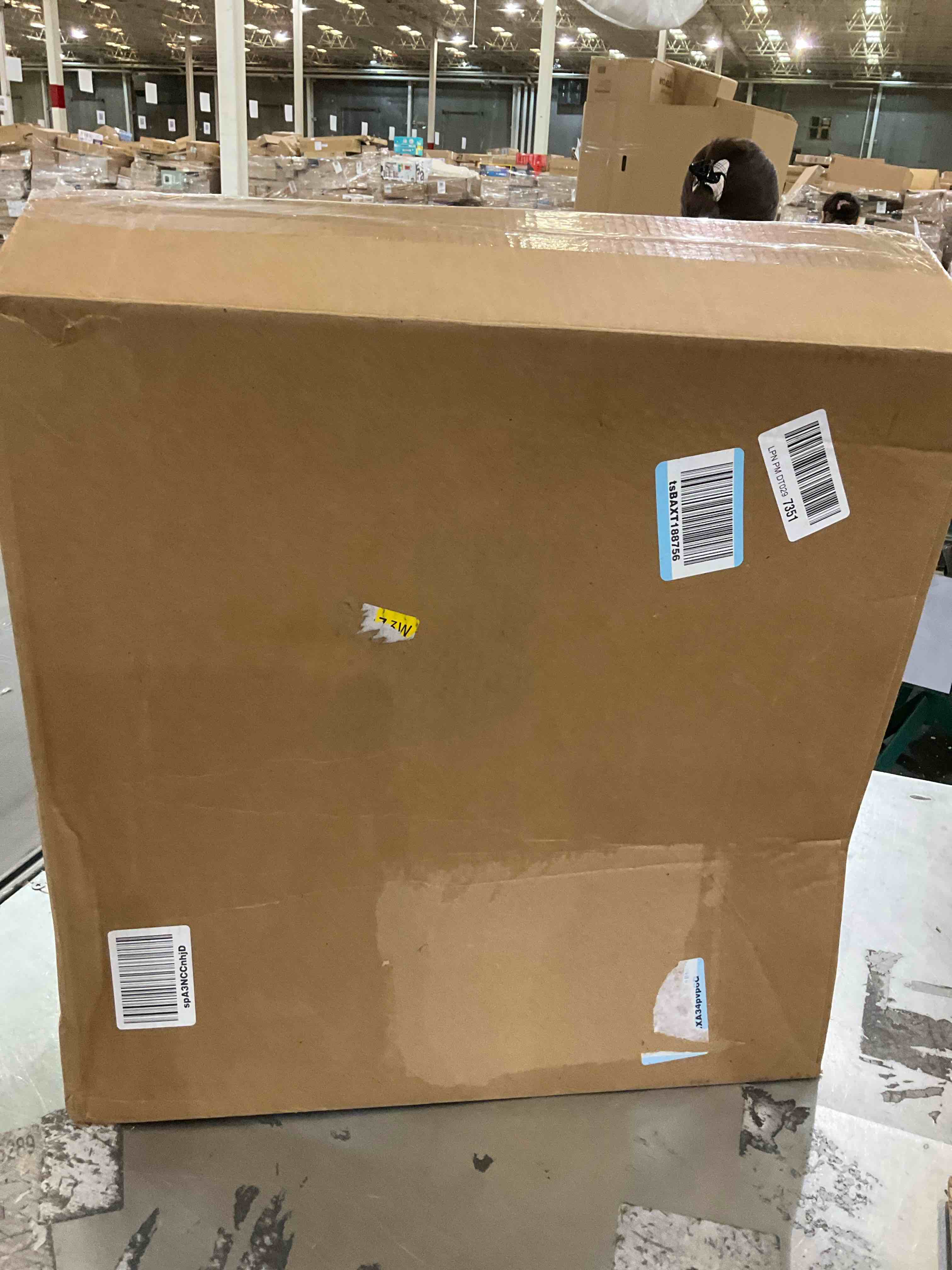 https://s3.amazonaws.com/lotting-images-prod/bidfta/PPE2500175_1746541093816.jpeg