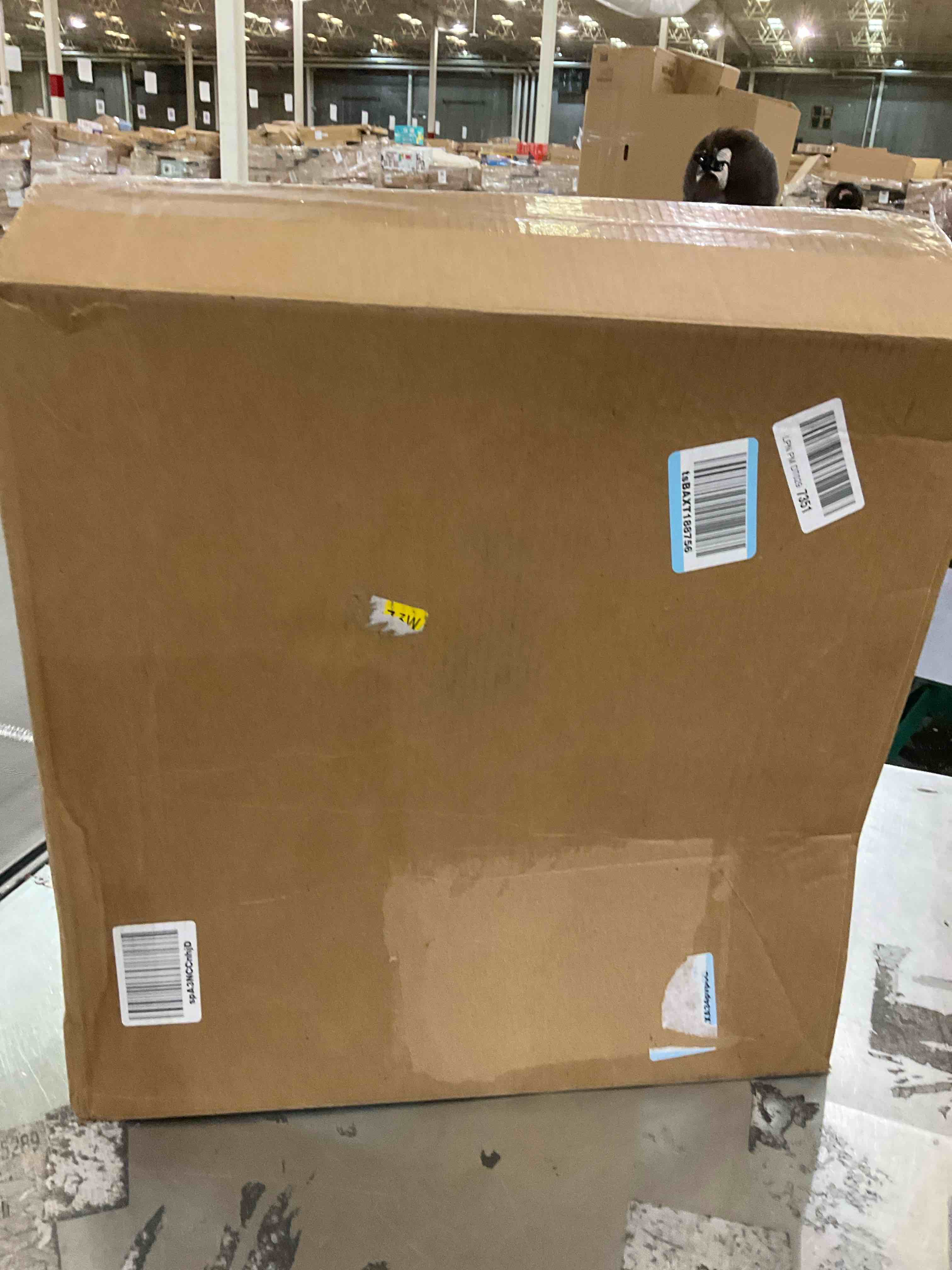 https://s3.amazonaws.com/lotting-images-prod/bidfta/PPE2500175_1746541094727.jpeg