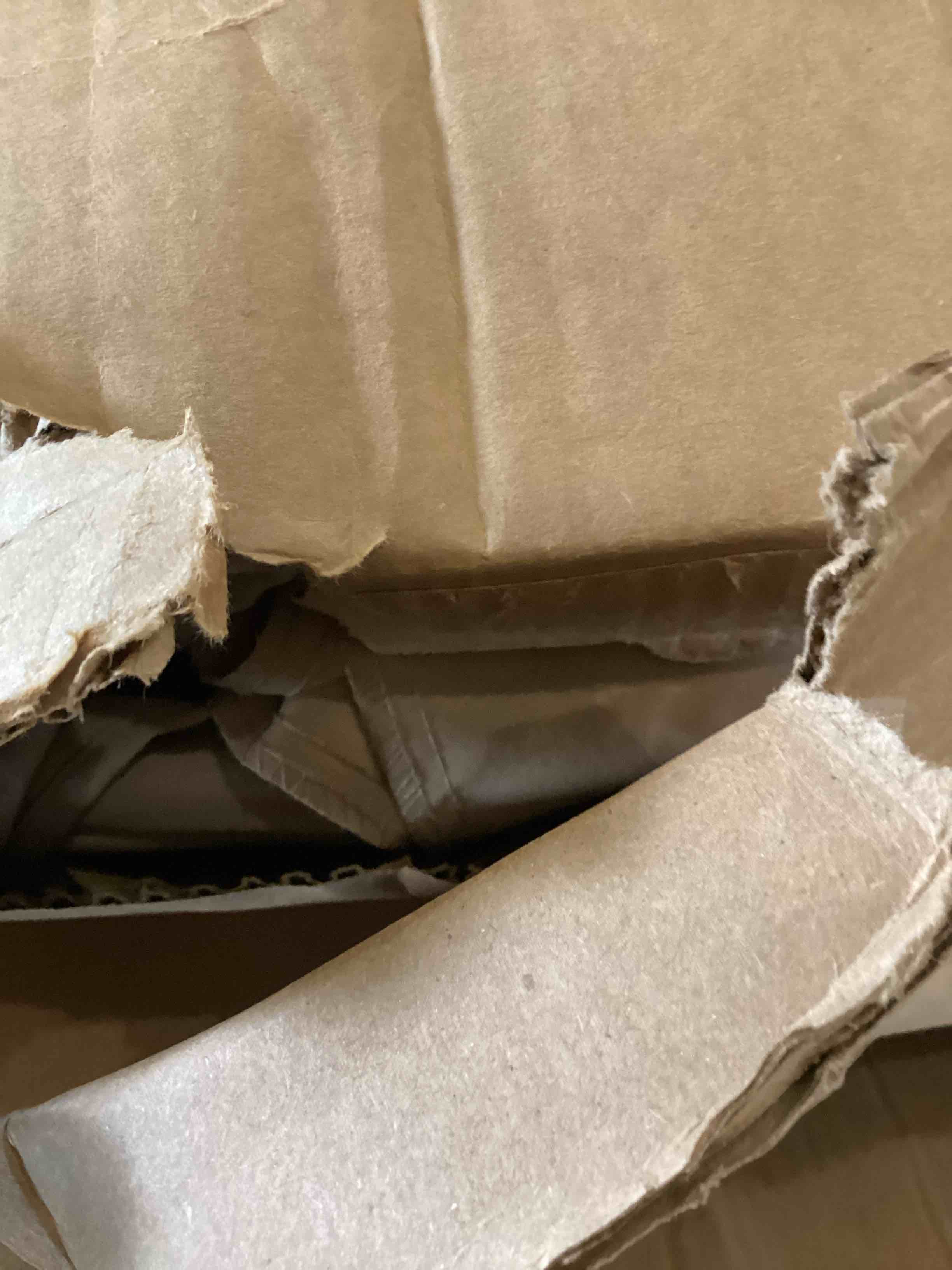 https://s3.amazonaws.com/lotting-images-prod/bidfta/PPE2537018_1752173651387.jpeg