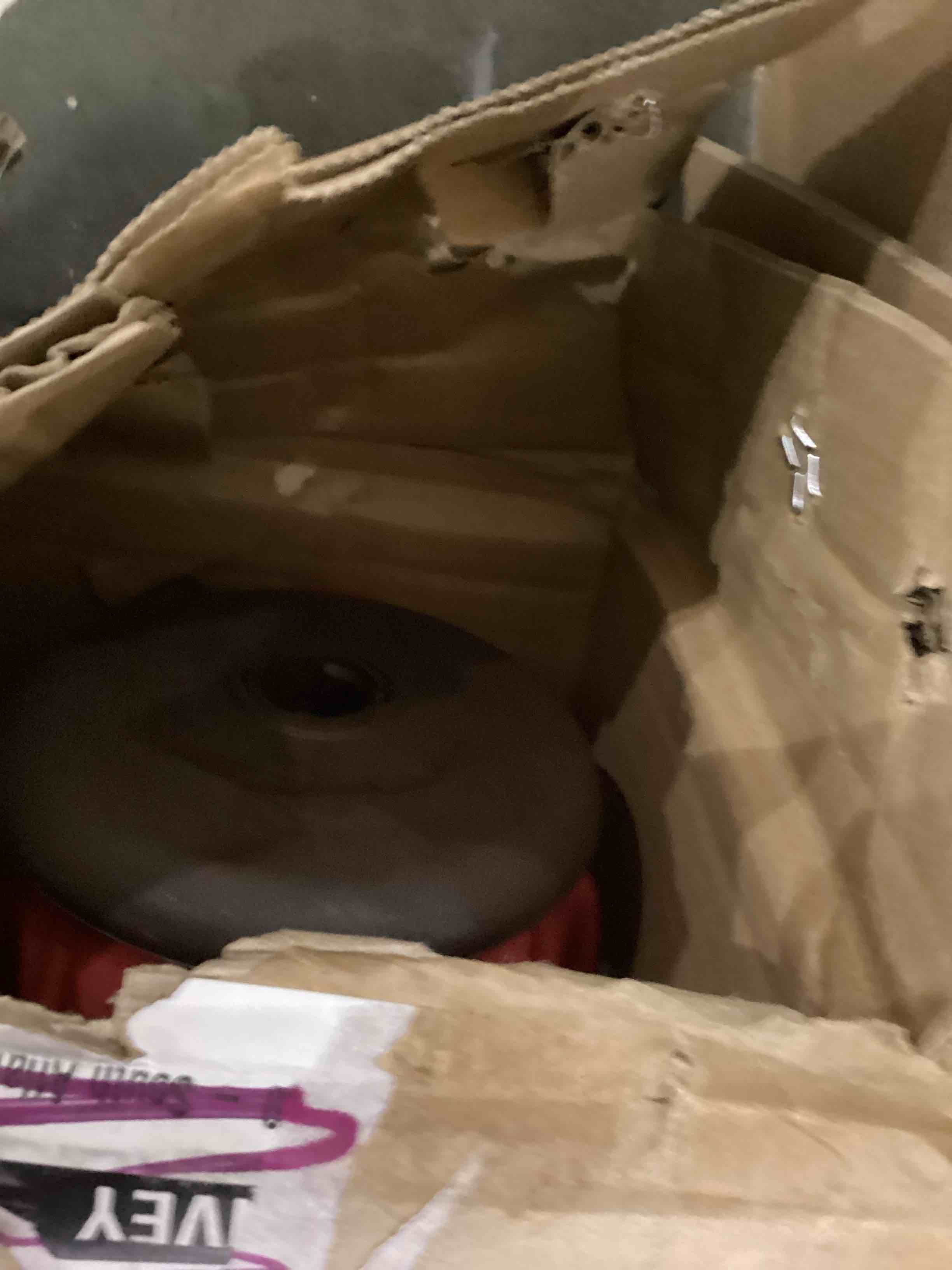 https://s3.amazonaws.com/lotting-images-prod/bidfta/PPE2537040_1752234381930.jpeg