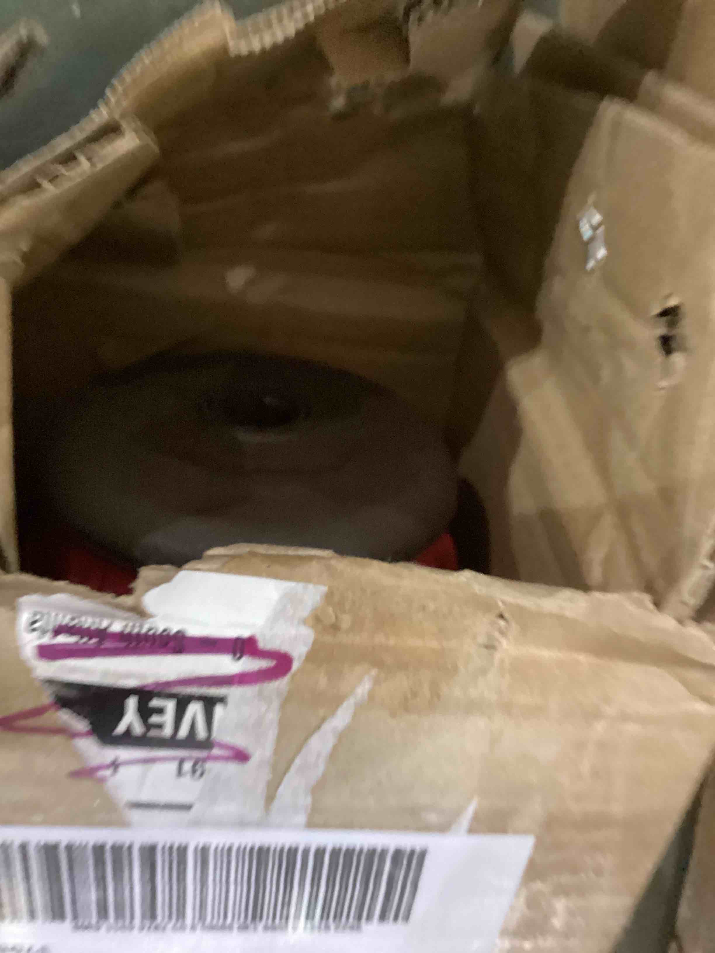 https://s3.amazonaws.com/lotting-images-prod/bidfta/PPE2537040_1752234383350.jpeg