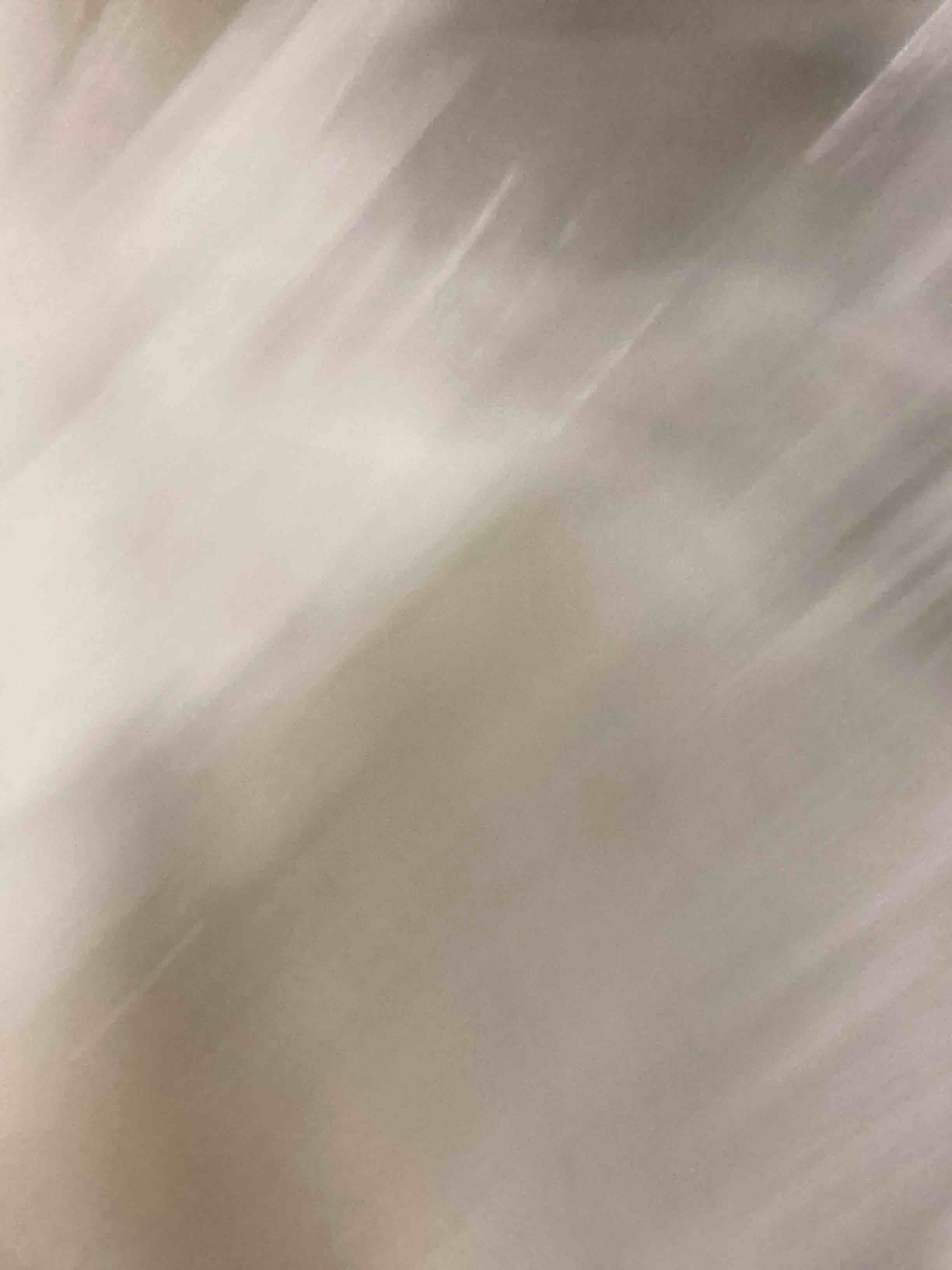 https://s3.amazonaws.com/lotting-images-prod/bidfta/PPE2537073_1752235861281.jpeg
