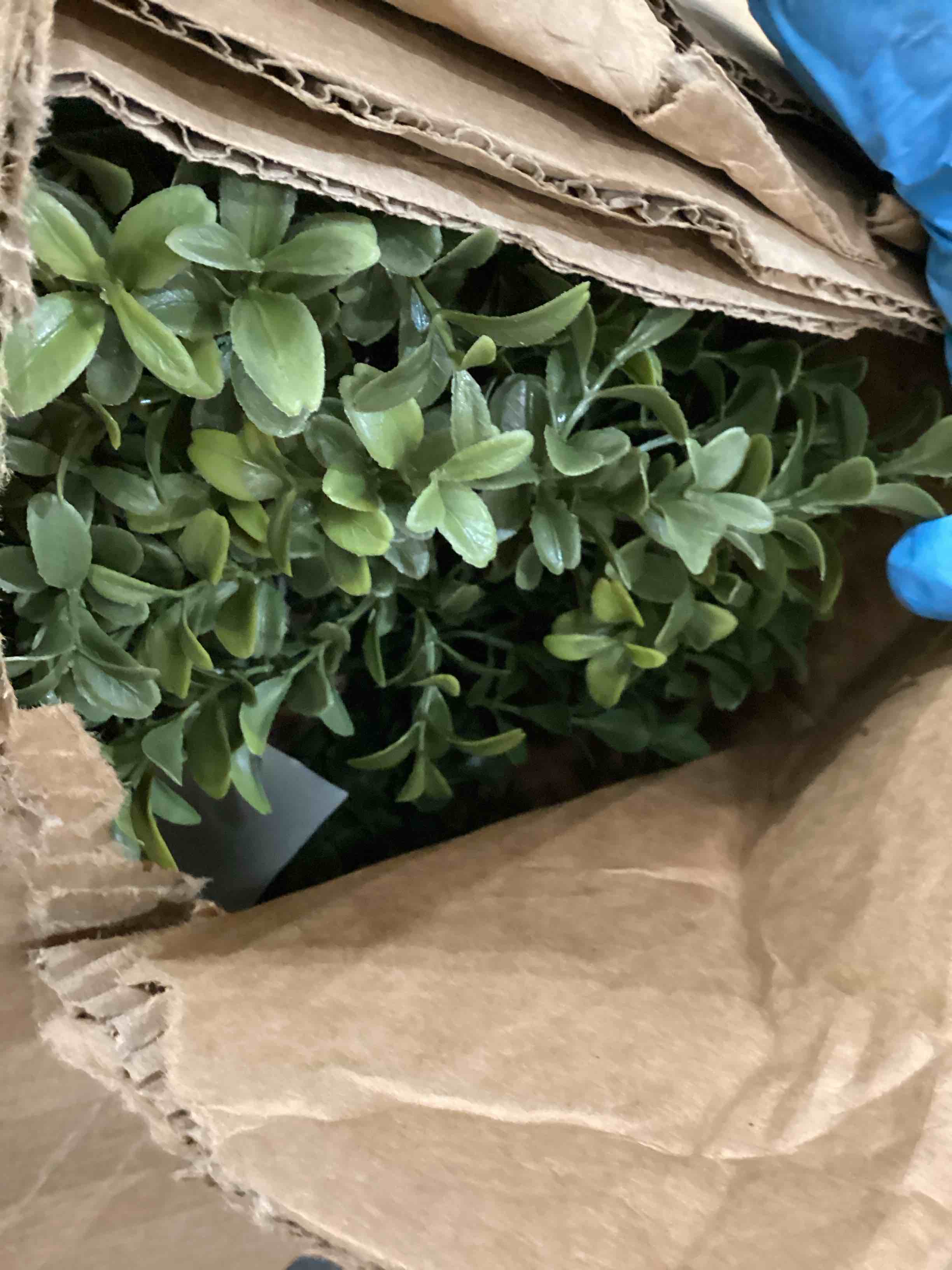 faux plant 