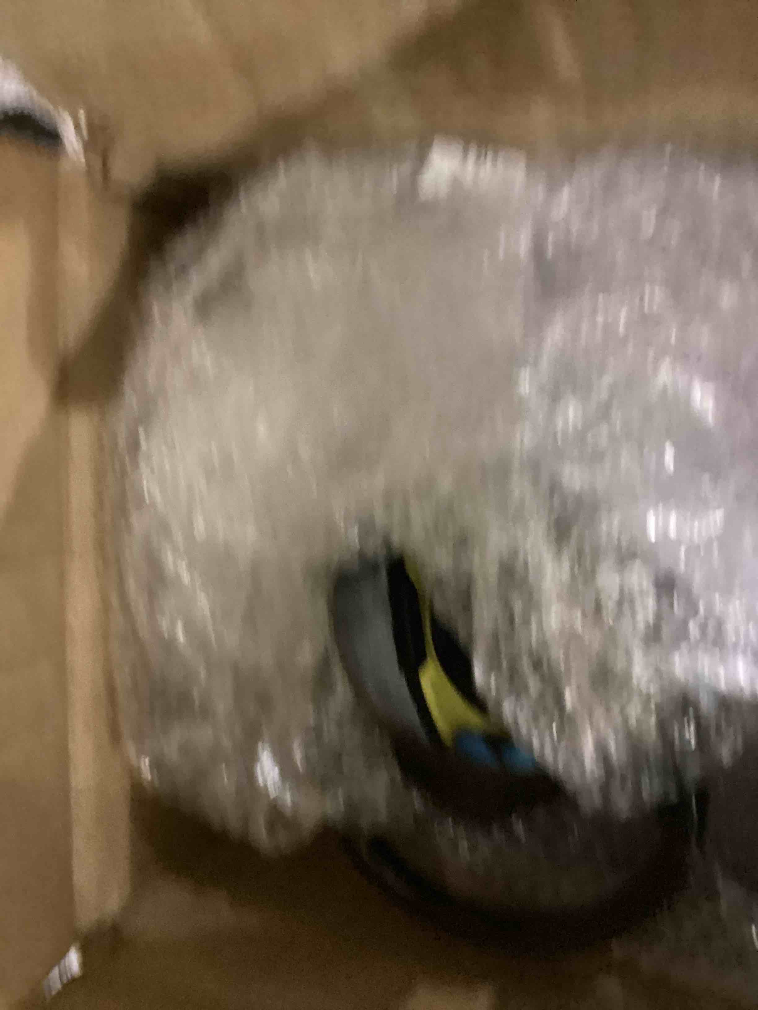 https://s3.amazonaws.com/lotting-images-prod/bidfta/PPE2537458_1752508198307.jpeg