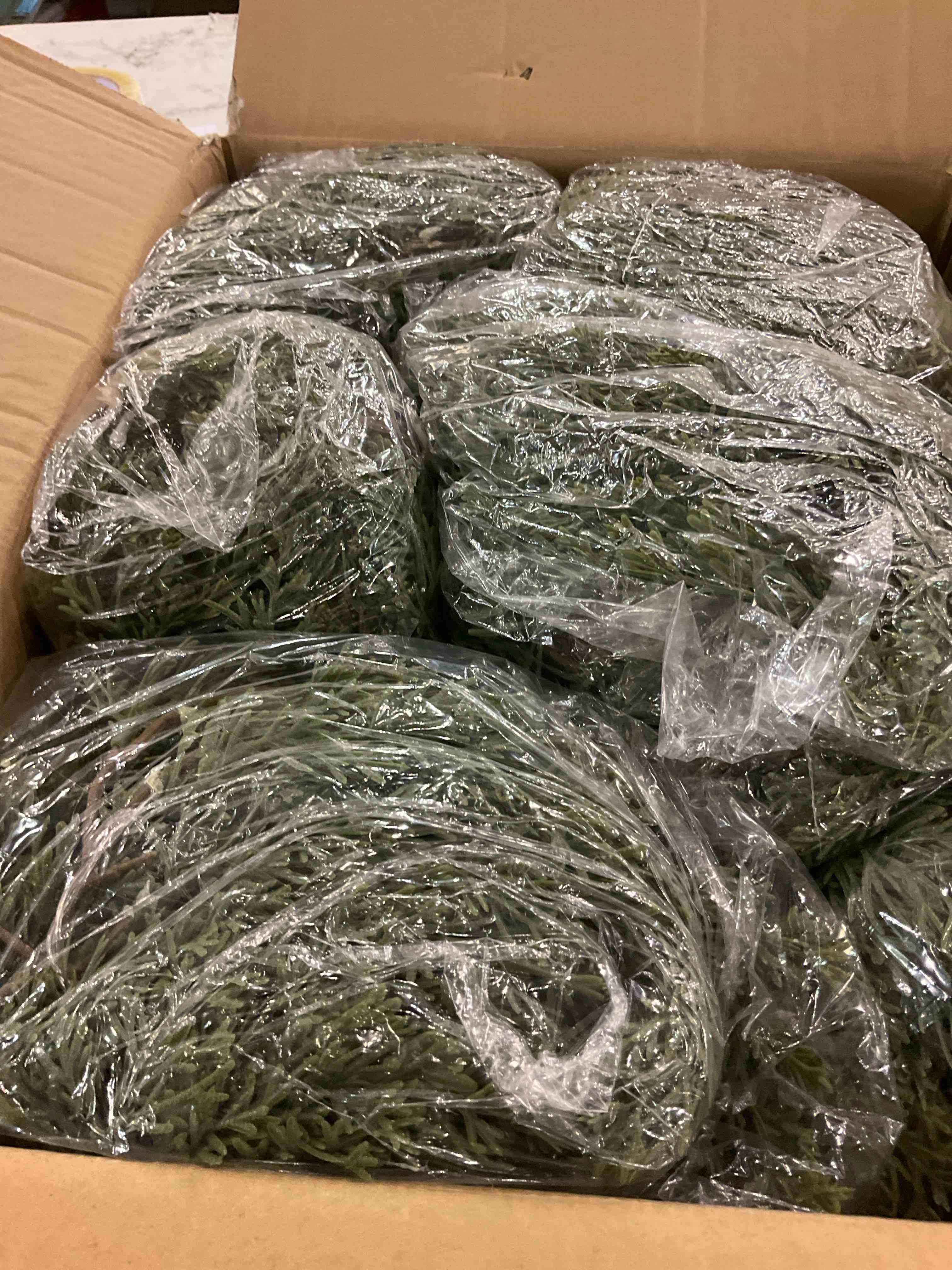 https://s3.amazonaws.com/lotting-images-prod/bidfta/PPE2539280_1751888743640.jpeg