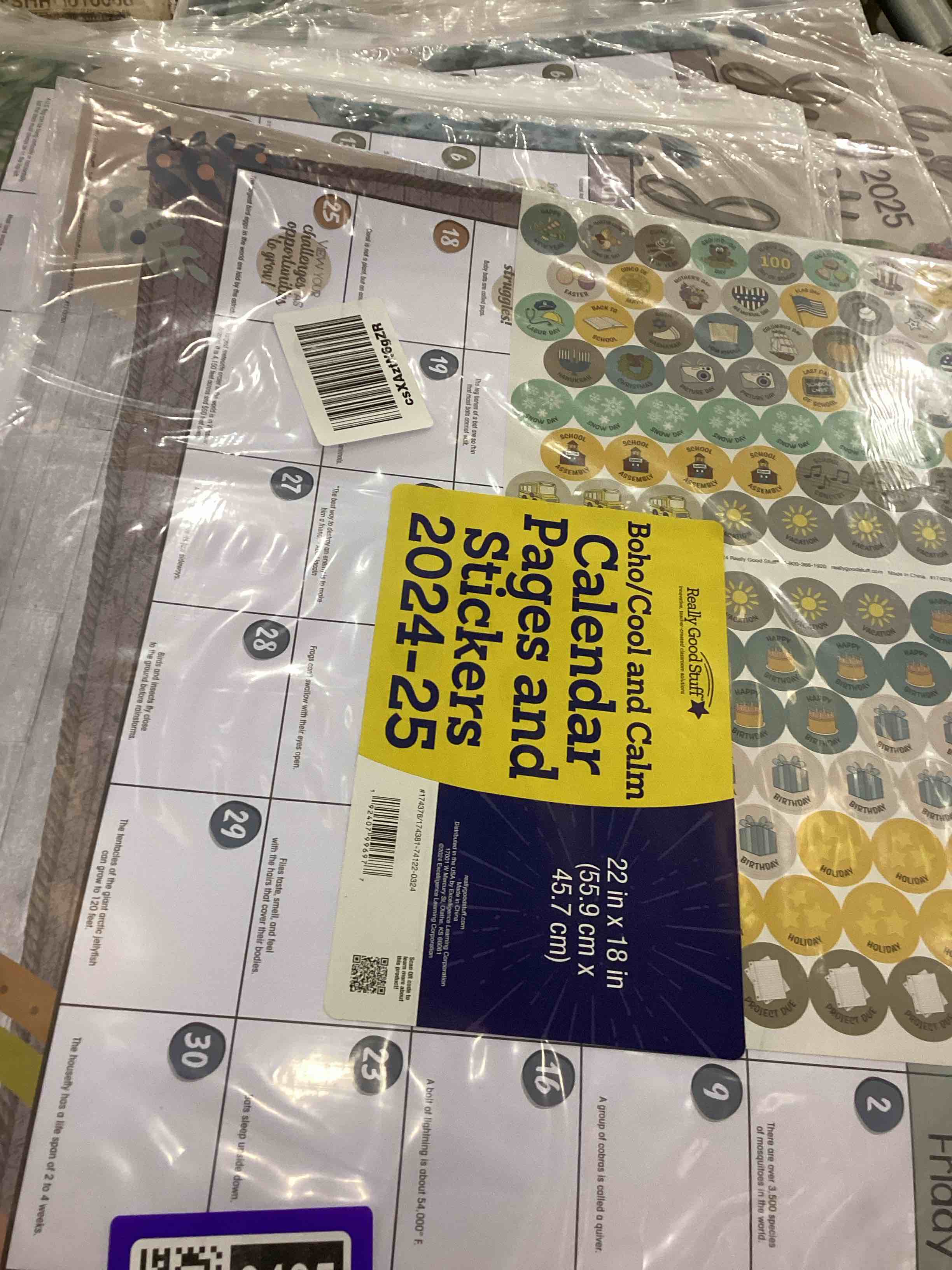 Really Good Stuff Boho Monthly Calendar Pages and Stickers 2024-2025 Double Sided