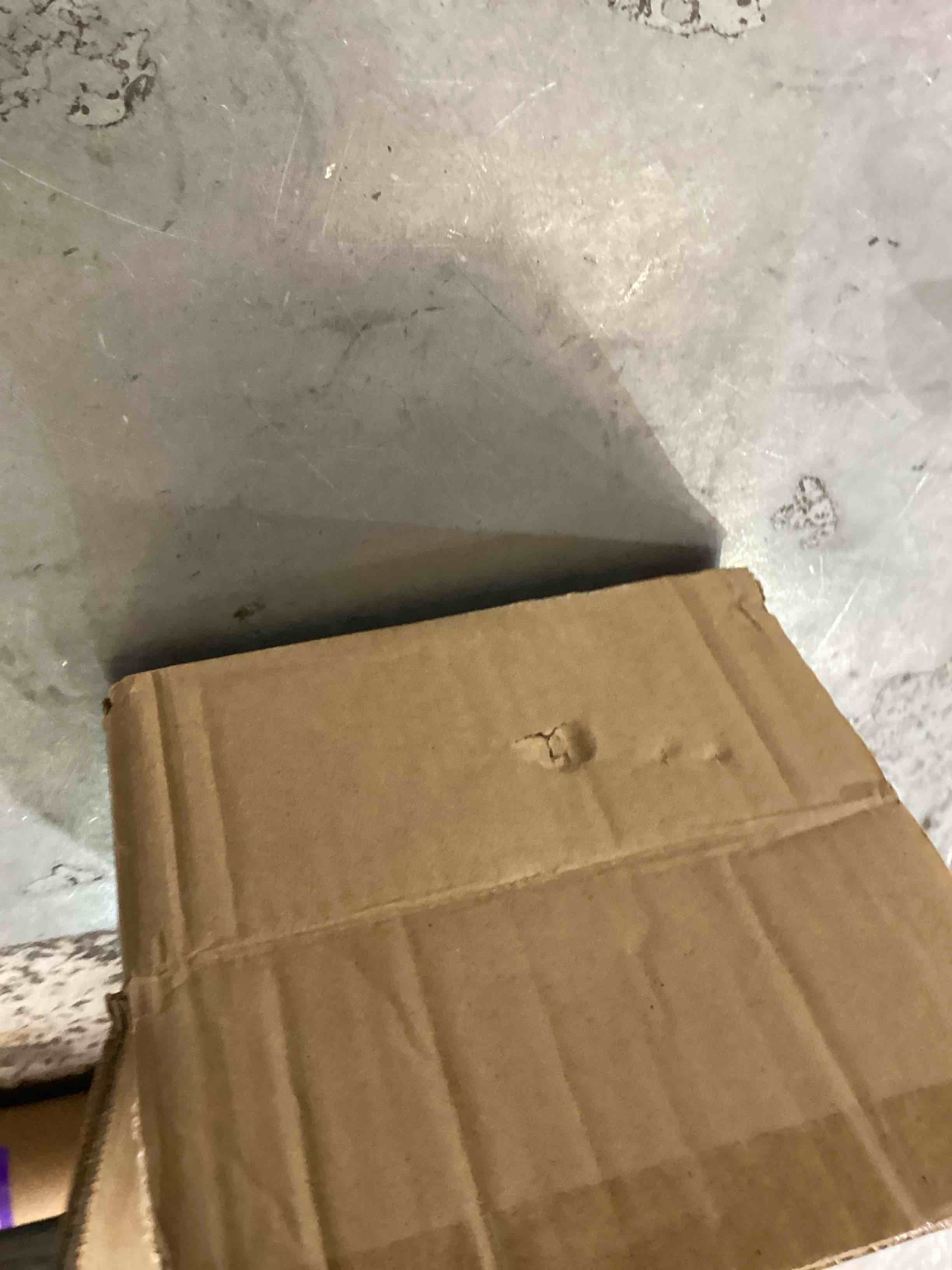 https://s3.amazonaws.com/lotting-images-prod/bidfta/PPE2541450_1753376049610.jpeg