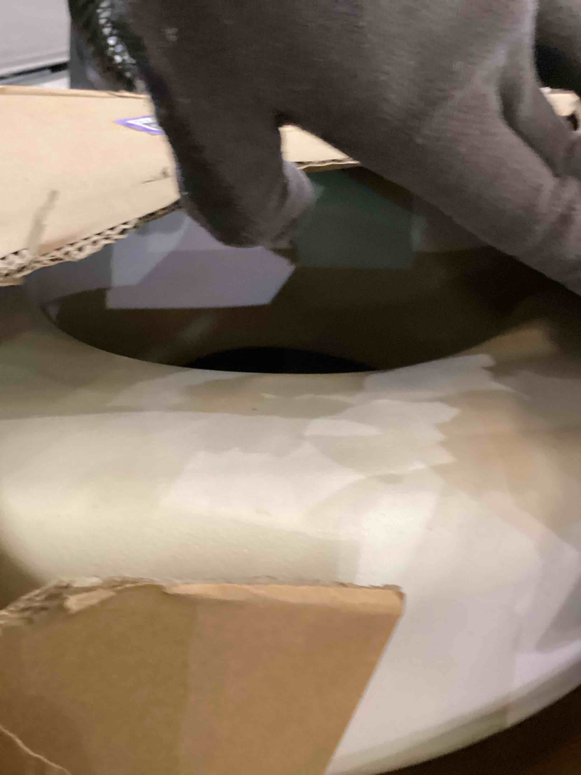 https://s3.amazonaws.com/lotting-images-prod/bidfta/PPE2541470_1753378041882.jpeg