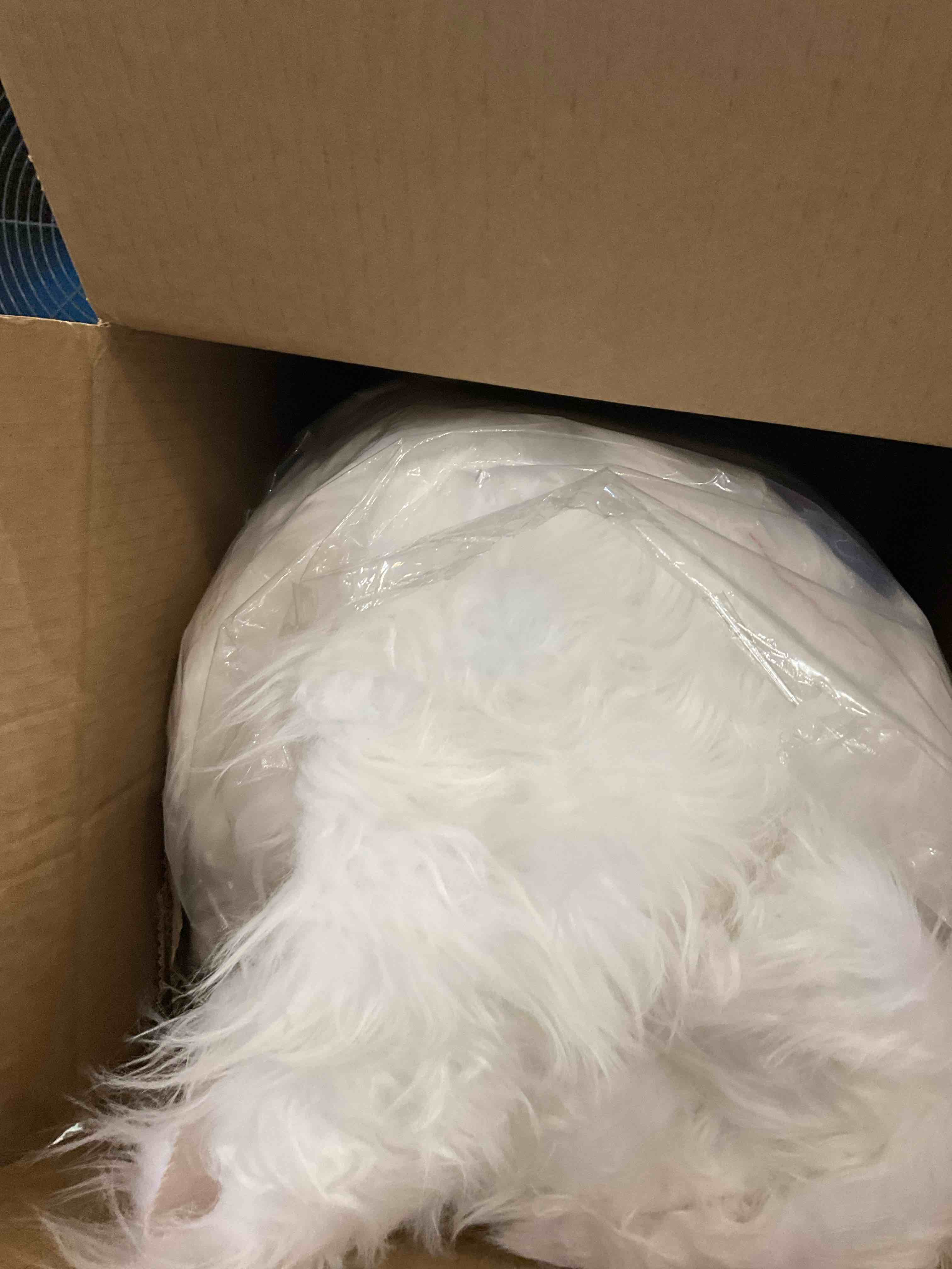 https://s3.amazonaws.com/lotting-images-prod/bidfta/PPE2543236_1752074313683.jpeg
