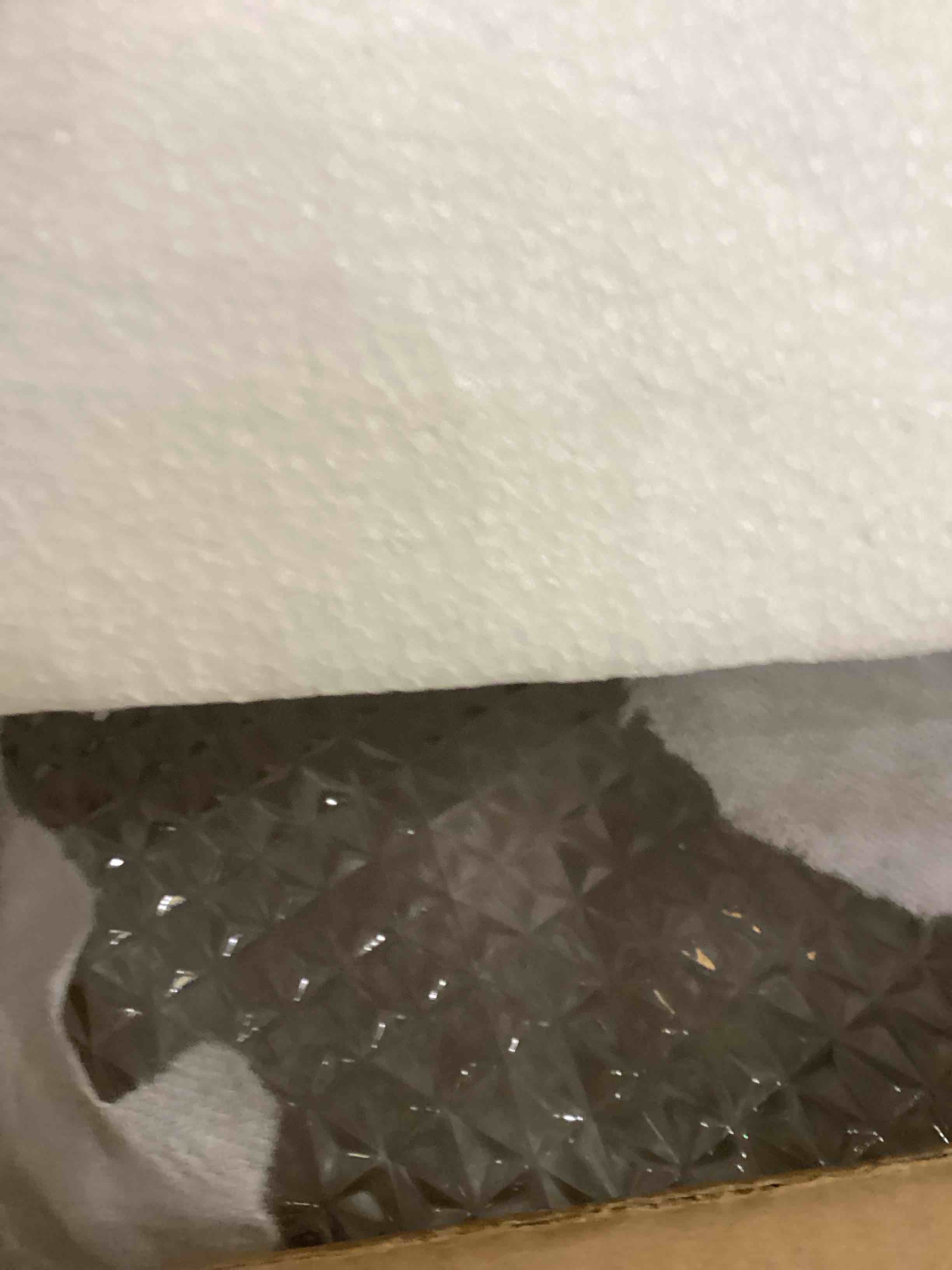 https://s3.amazonaws.com/lotting-images-prod/bidfta/PPE2543587_1752162276099.jpeg