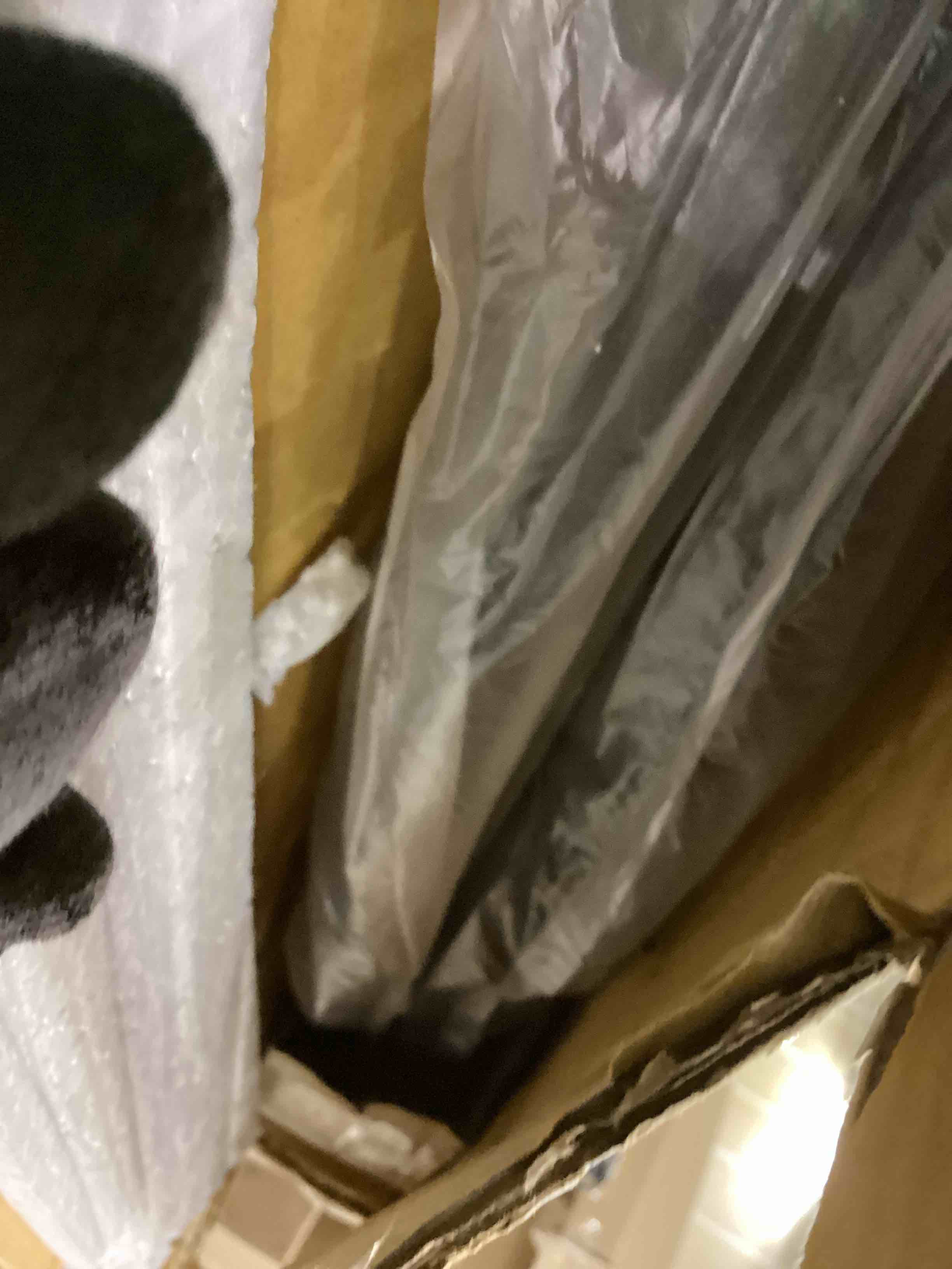https://s3.amazonaws.com/lotting-images-prod/bidfta/PPE2544336_1752503131900.jpeg