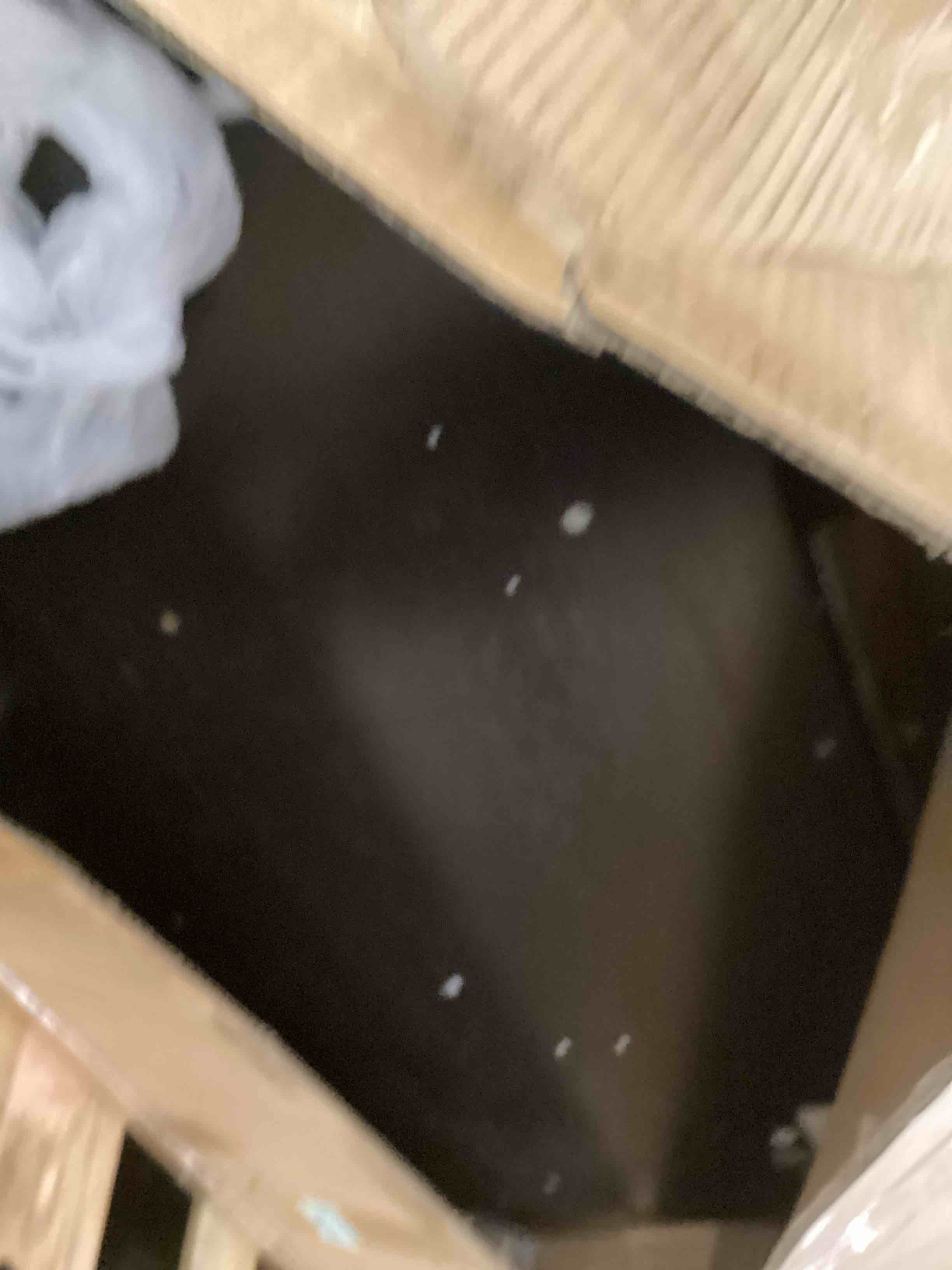https://s3.amazonaws.com/lotting-images-prod/bidfta/PPE2551070_1752670359711.jpeg