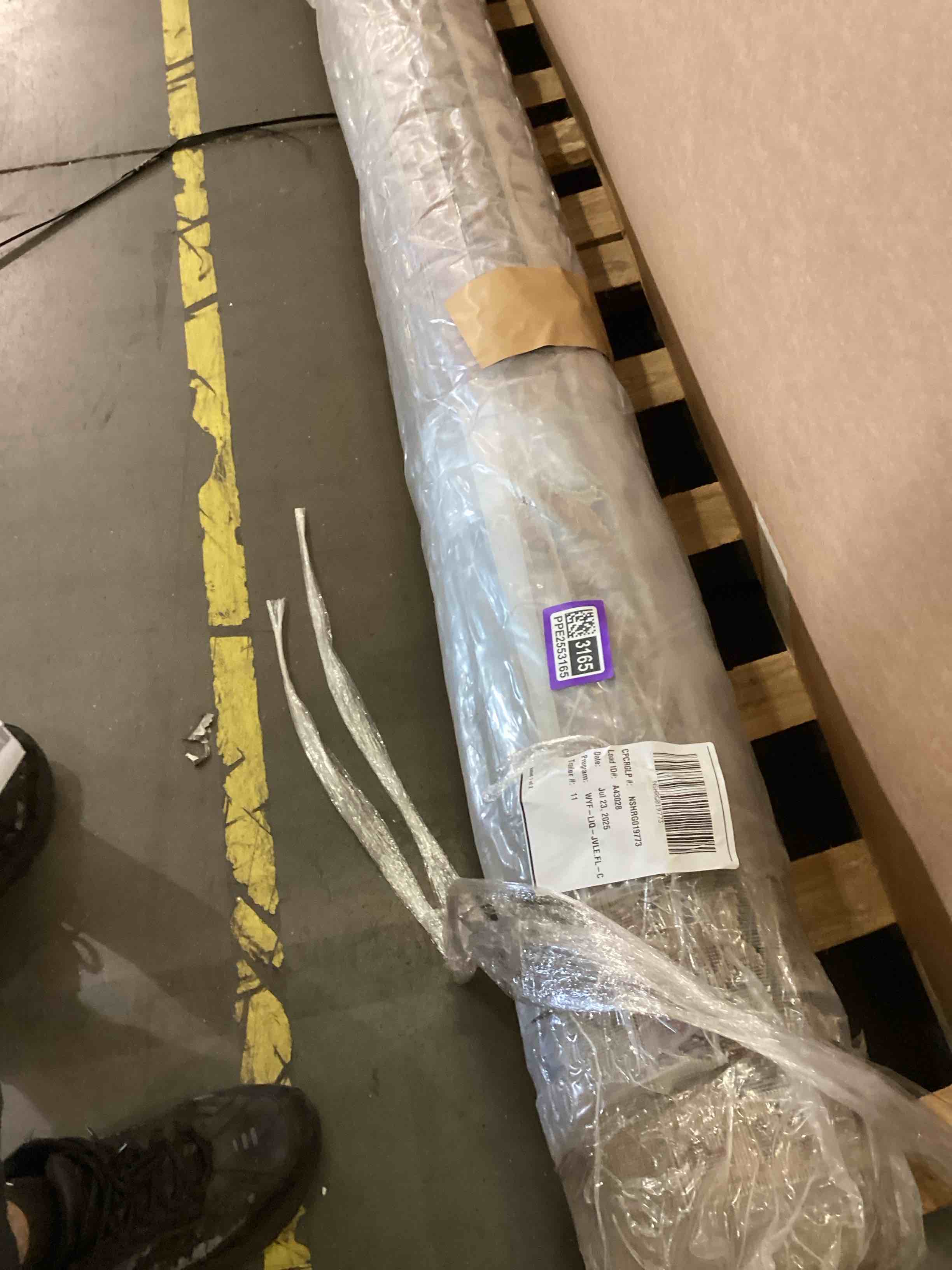 Large Area rug 
