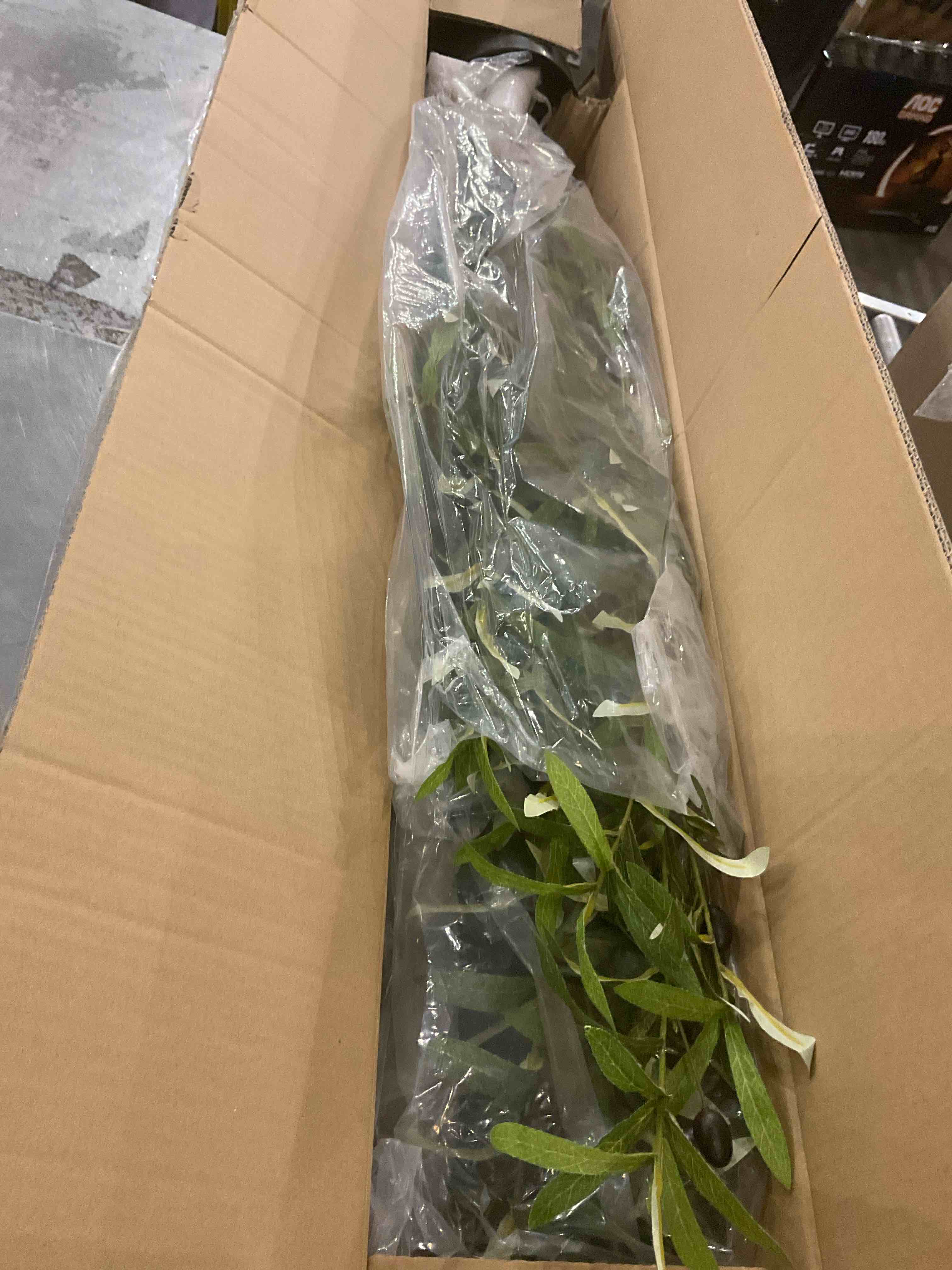 https://s3.amazonaws.com/lotting-images-prod/bidfta/PPE2571969_1745234476208.jpeg