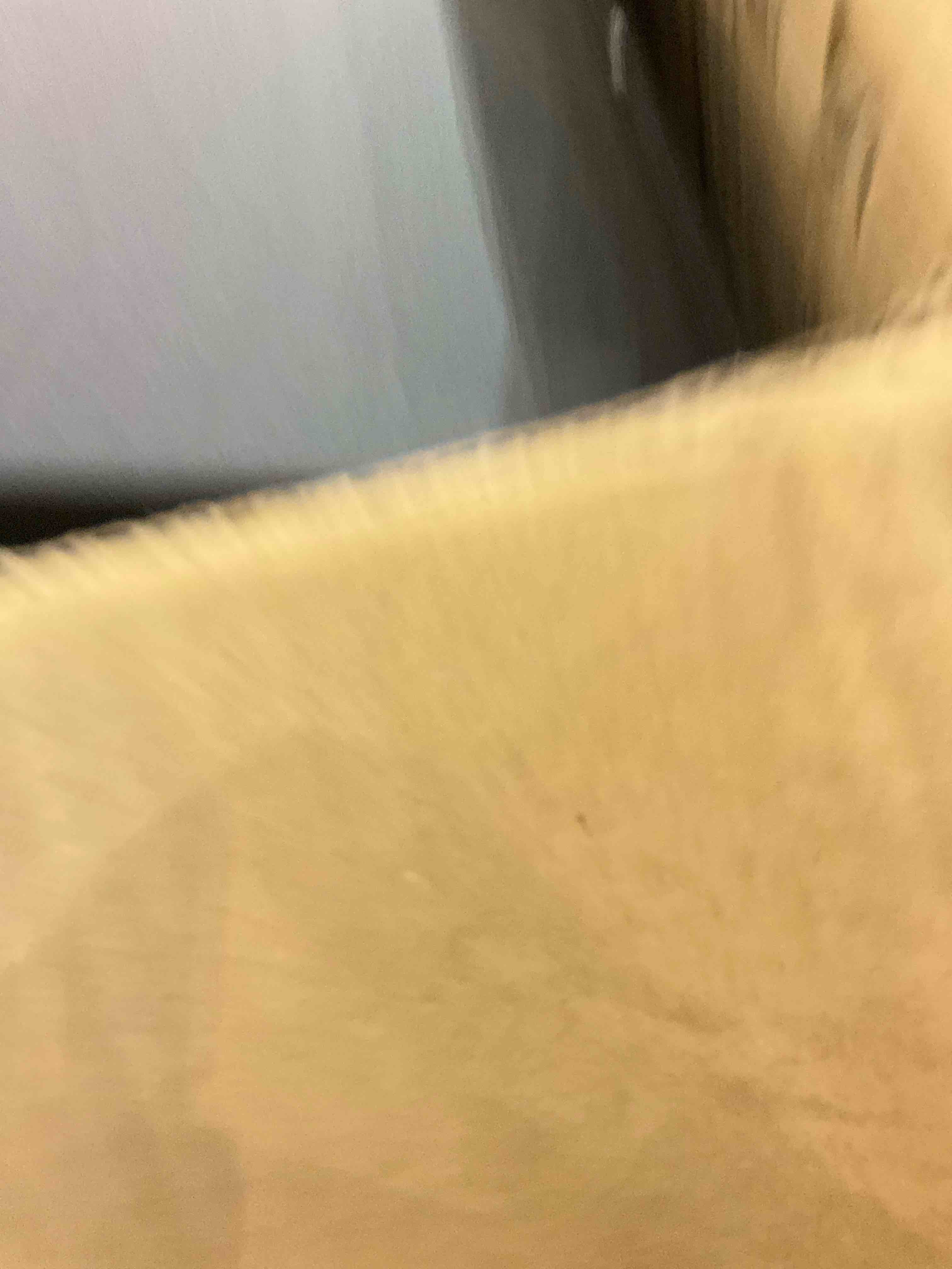 https://s3.amazonaws.com/lotting-images-prod/bidfta/PPE2573565_1745501046424.jpeg