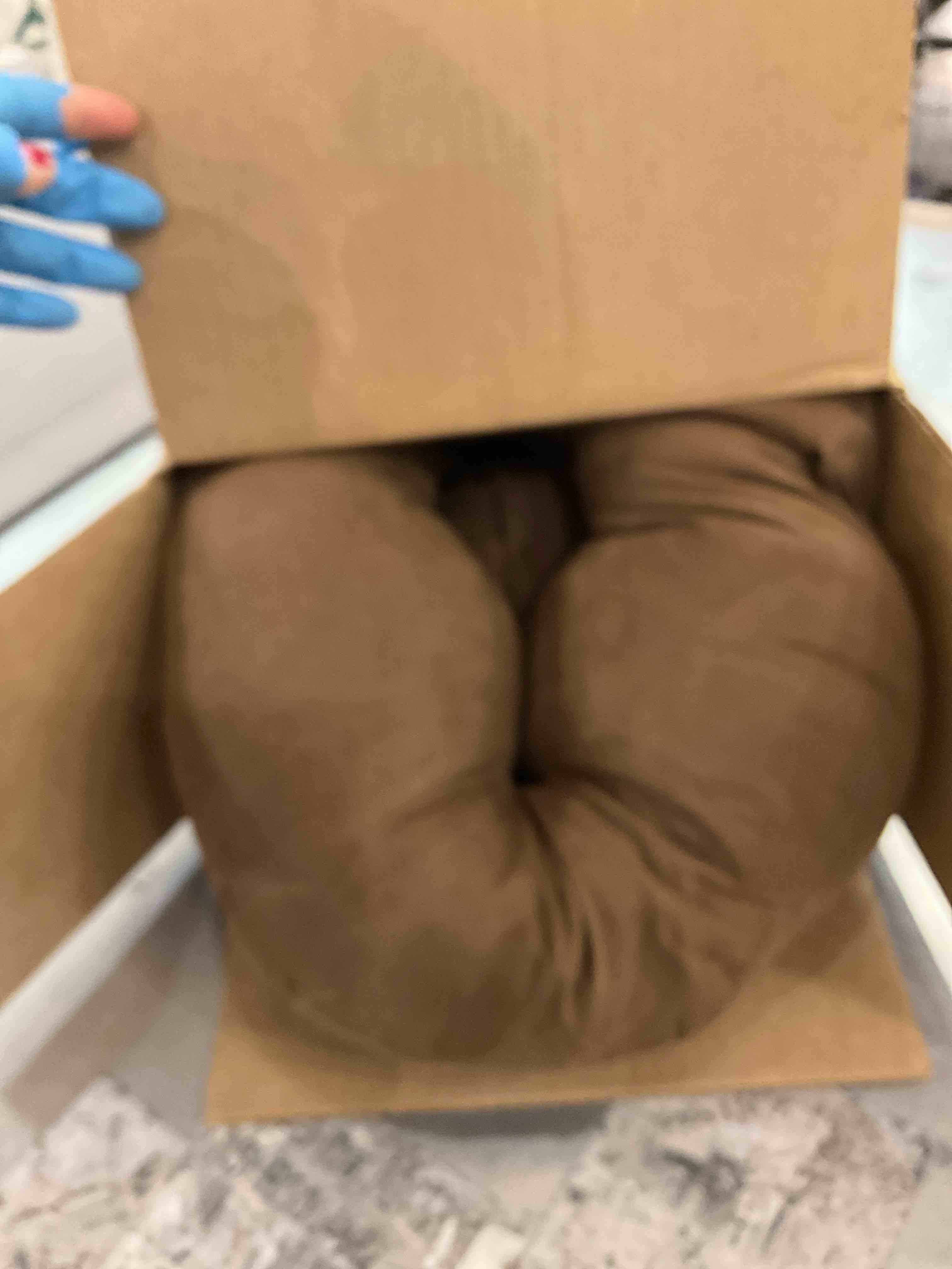 https://s3.amazonaws.com/lotting-images-prod/bidfta/PPE2573852_1745507962285.jpeg
