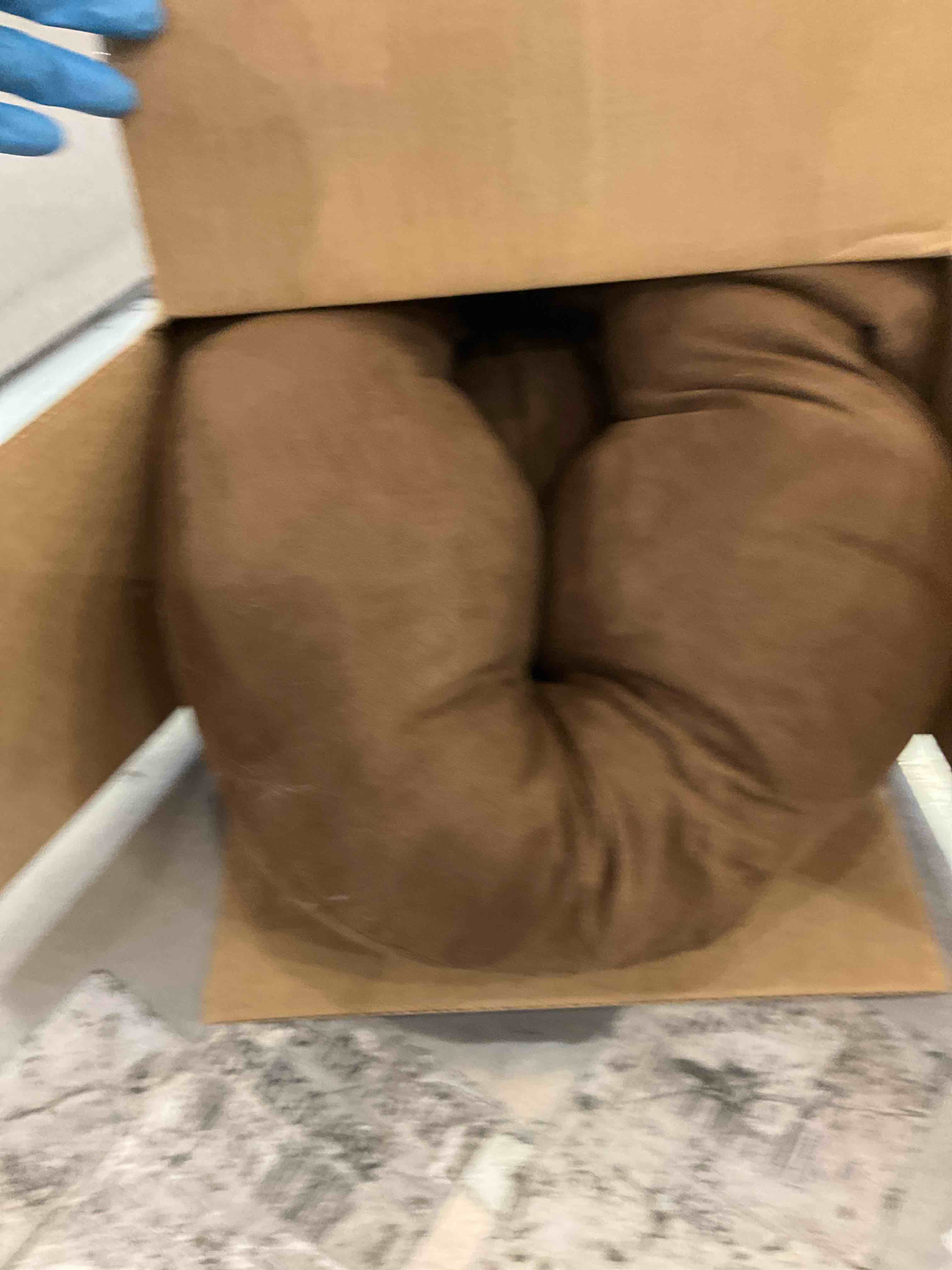 https://s3.amazonaws.com/lotting-images-prod/bidfta/PPE2573852_1745507963615.jpeg