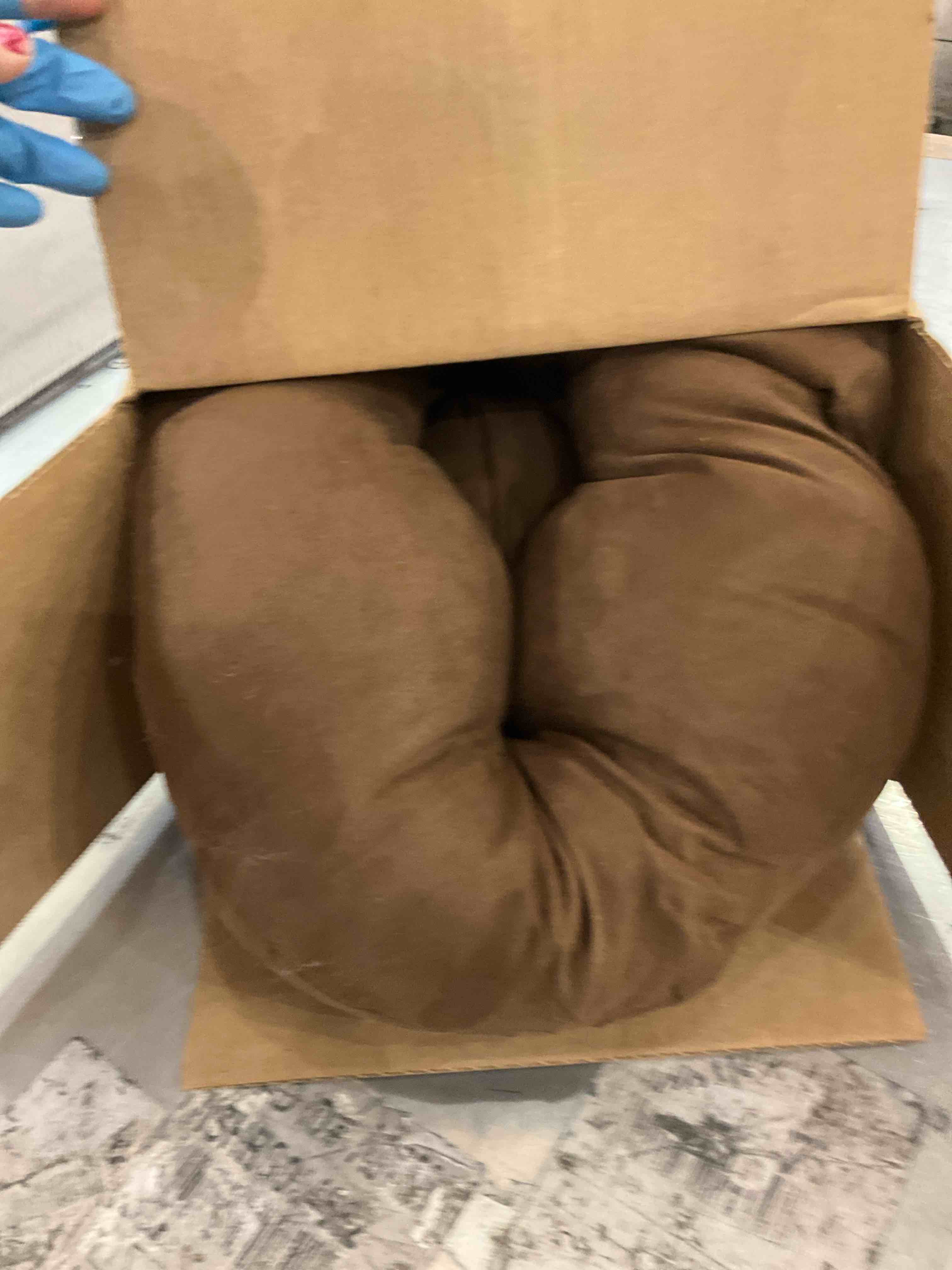 https://s3.amazonaws.com/lotting-images-prod/bidfta/PPE2573852_1745507965635.jpeg