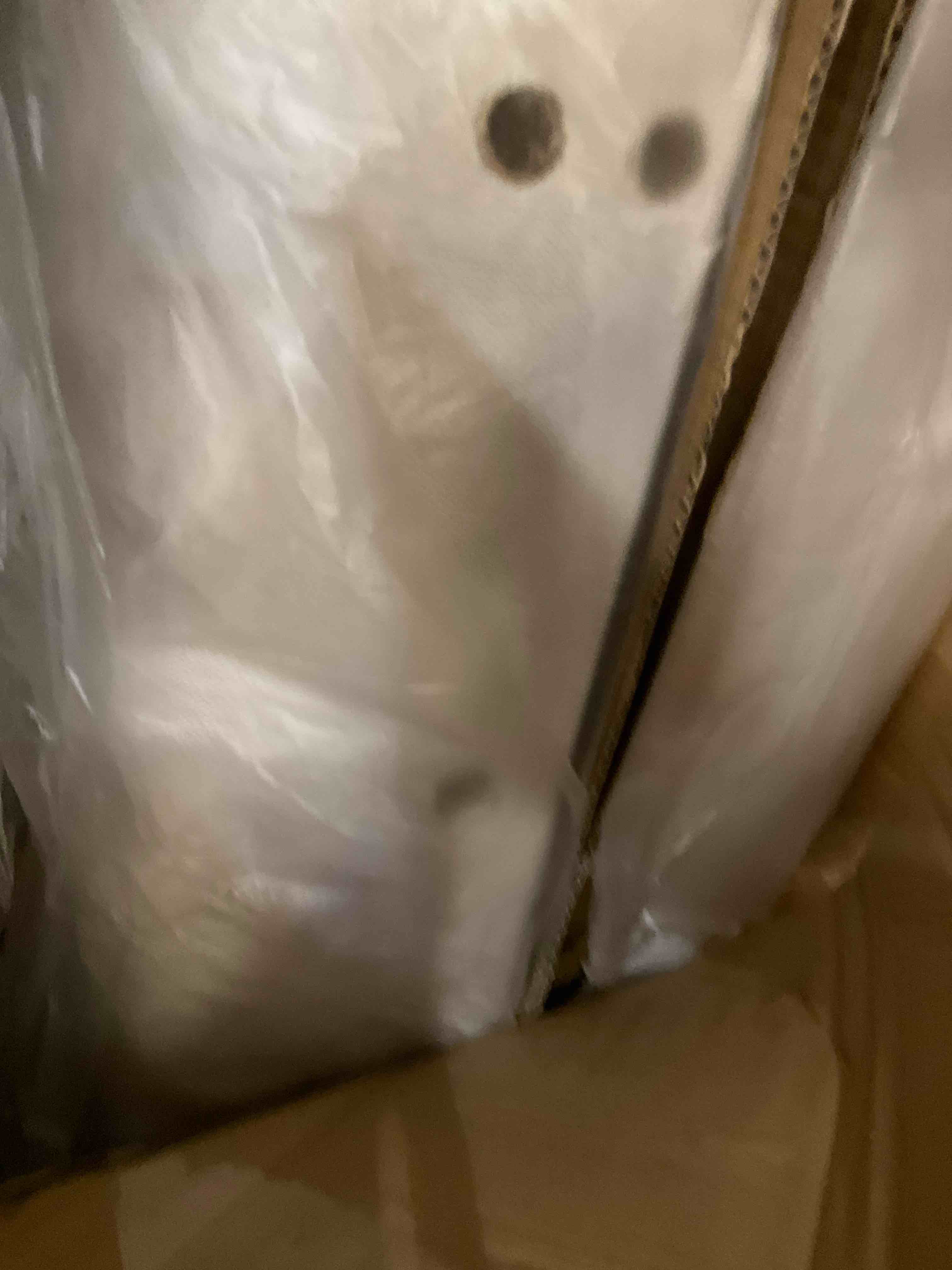 https://s3.amazonaws.com/lotting-images-prod/bidfta/PPE2577326_1746207864747.jpeg