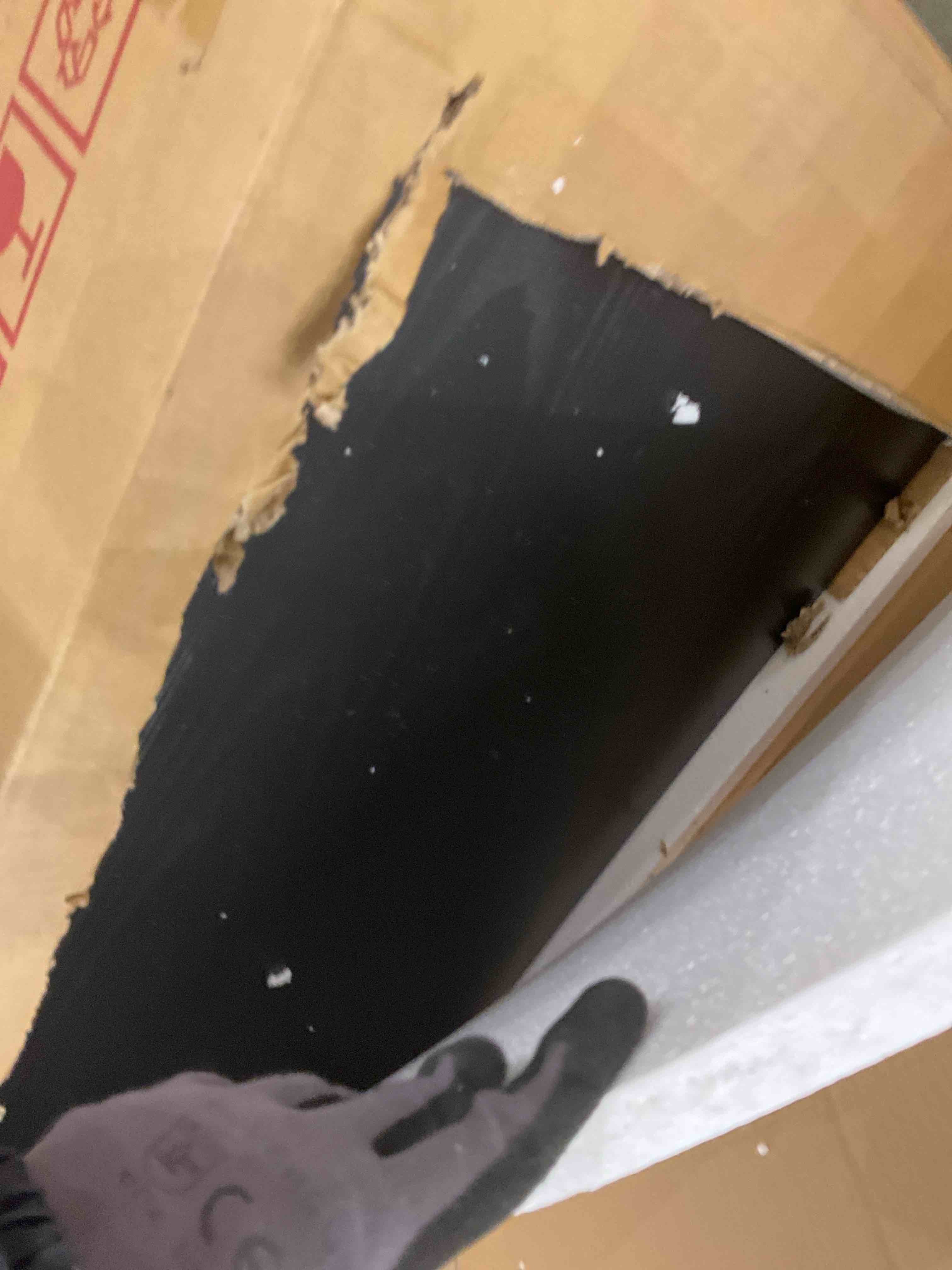 https://s3.amazonaws.com/lotting-images-prod/bidfta/PPE2577742_1746538745350.jpeg