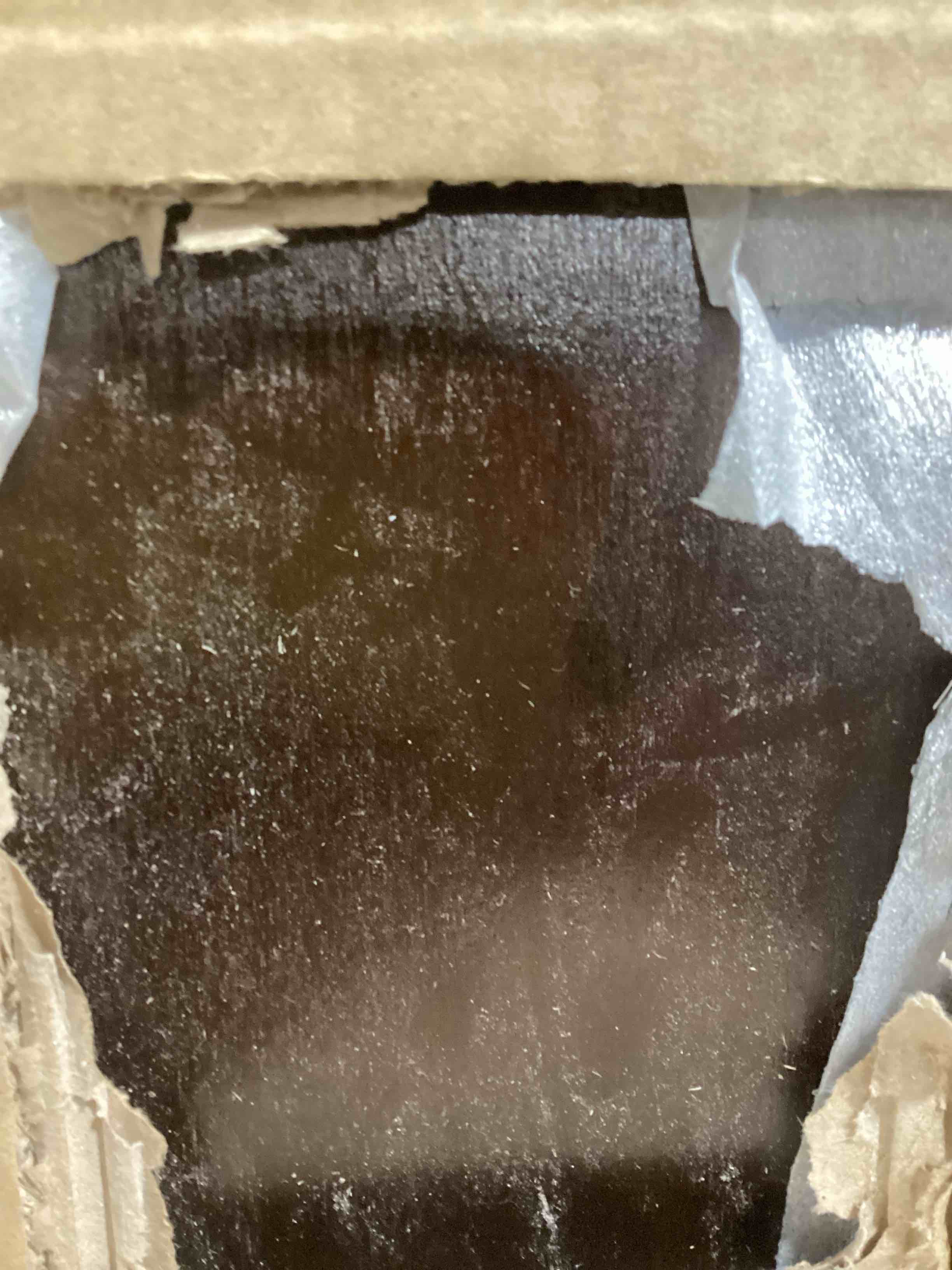 https://s3.amazonaws.com/lotting-images-prod/bidfta/PPE2590278_1752665927954.jpeg