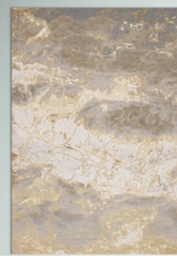 Kari Gray/Gold indoor Aroa Rug 4315868567
