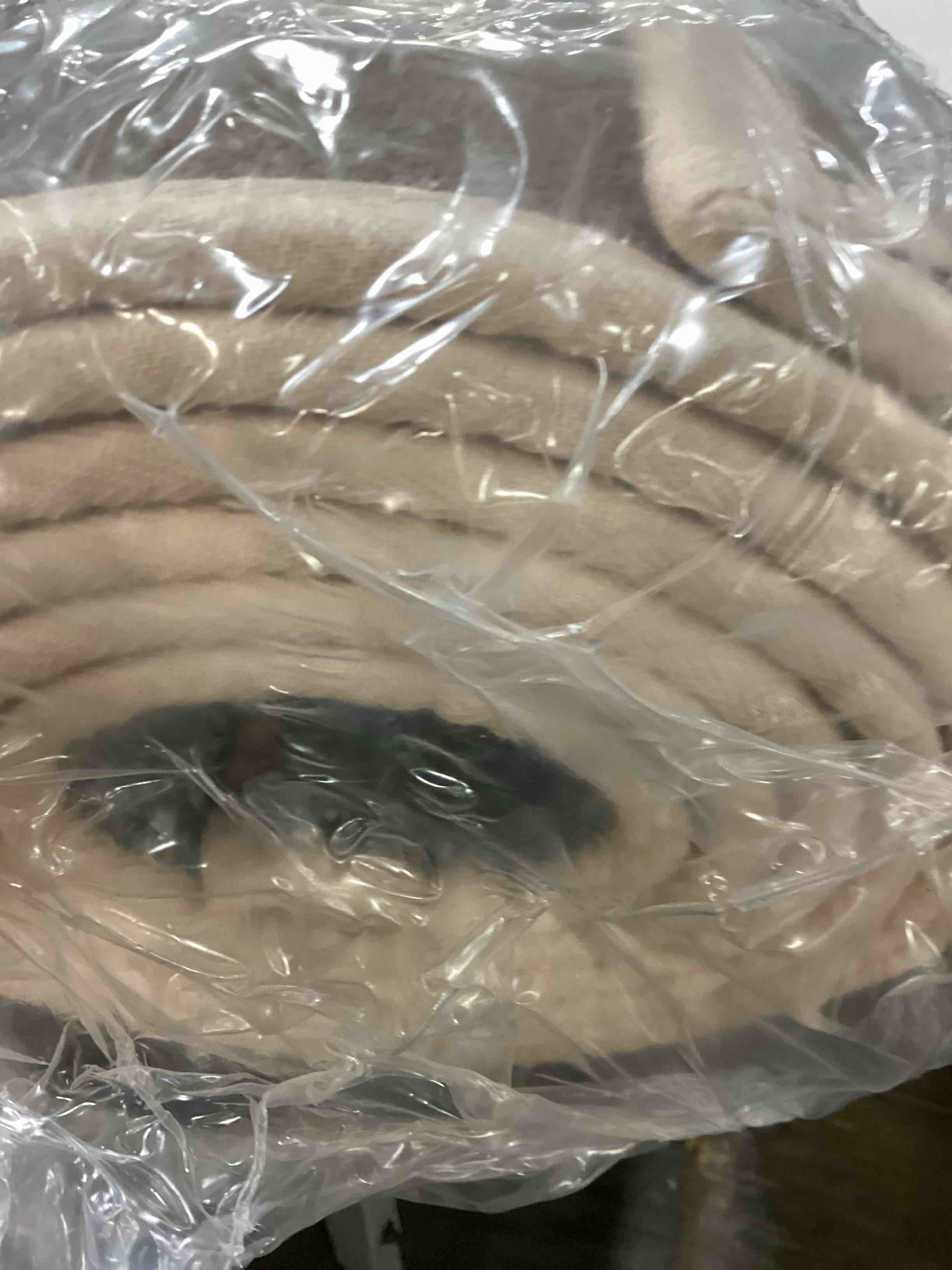 https://s3.amazonaws.com/lotting-images-prod/bidfta/PPE2659486_1754407230561.jpeg
