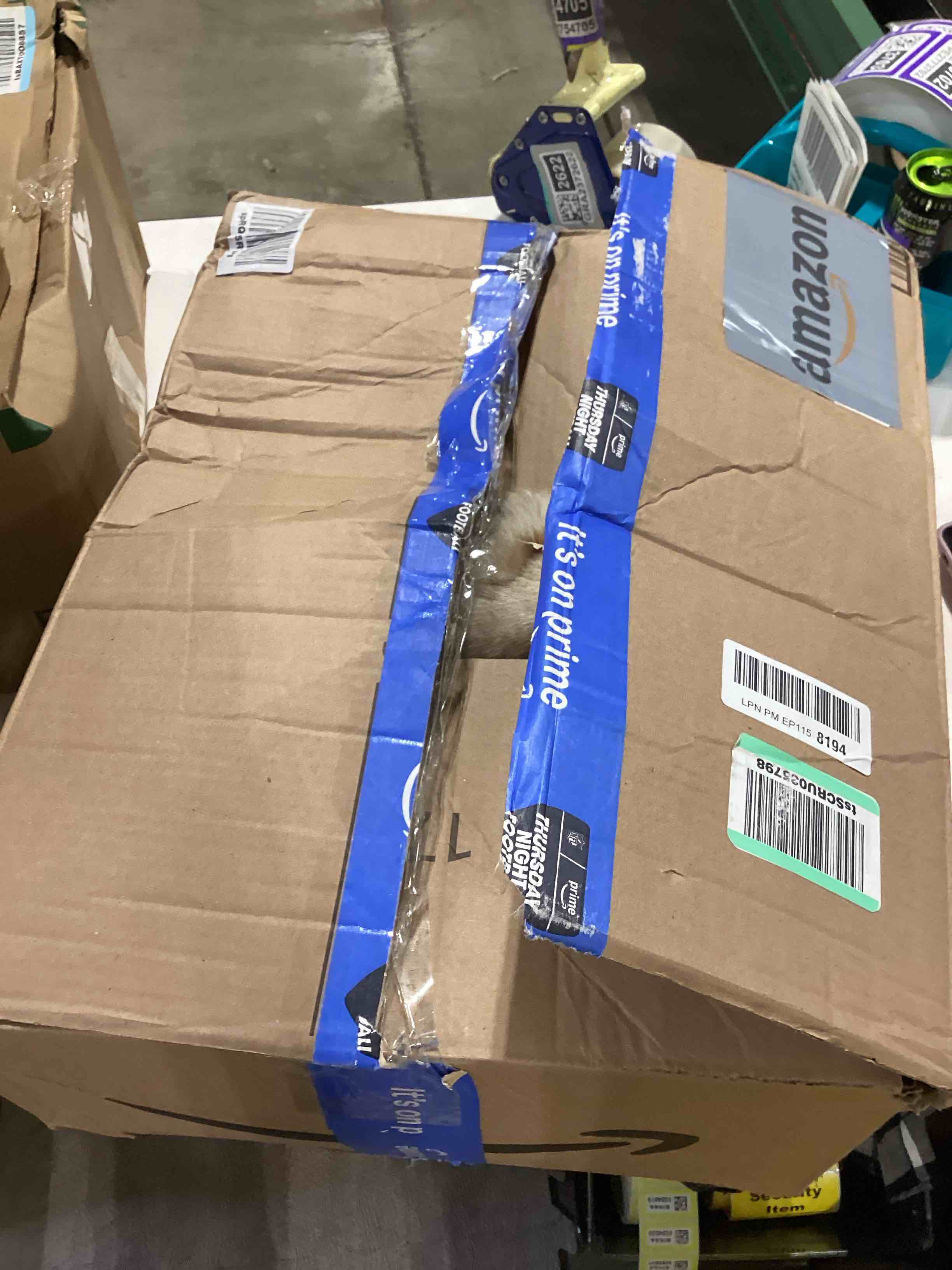 https://s3.amazonaws.com/lotting-images-prod/bidfta/PPE2773697_1759757042766.jpeg