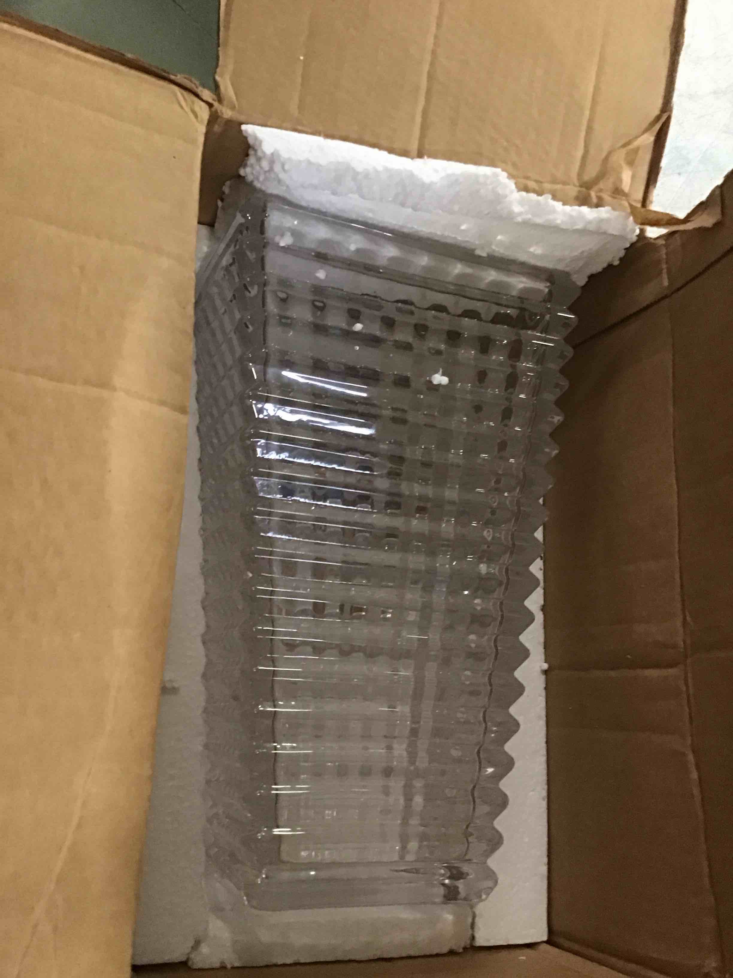 https://s3.amazonaws.com/lotting-images-prod/bidfta/PPE3283600_1750337918820.jpeg