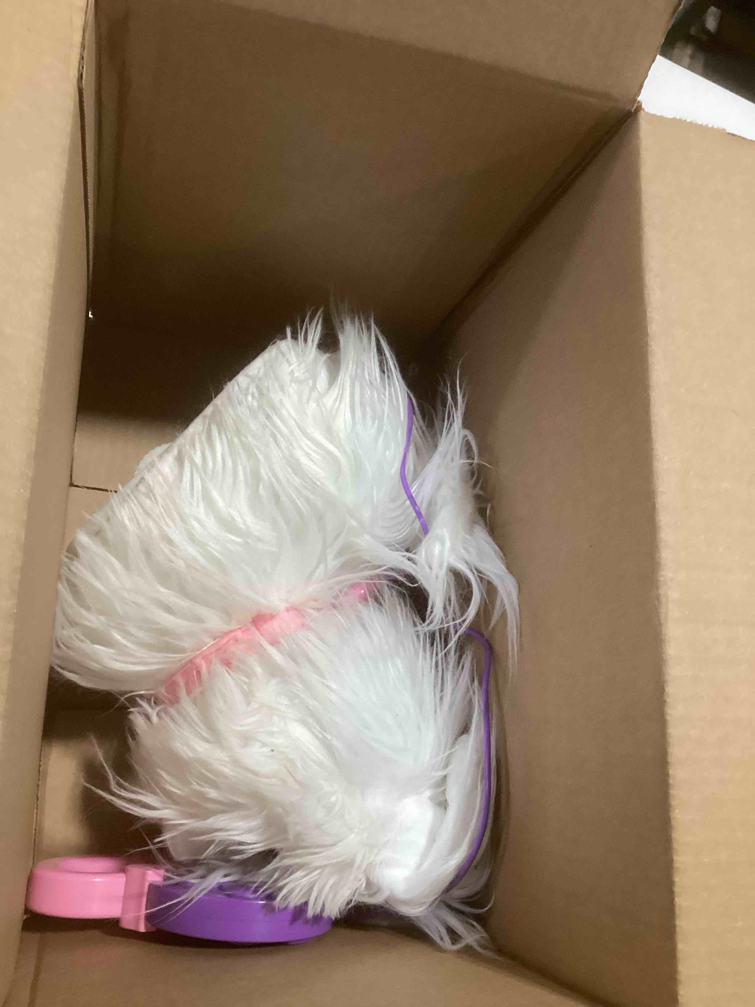 Condition photo showing Good Condition for FurReal GoGo Walkin’ Pup Maltese Interactive Toy, 9-inch Realistic Plush Dog, Kids Toys for Ages 4 Up by Just Play