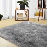 Shehan Gray Area Rug, 4x6