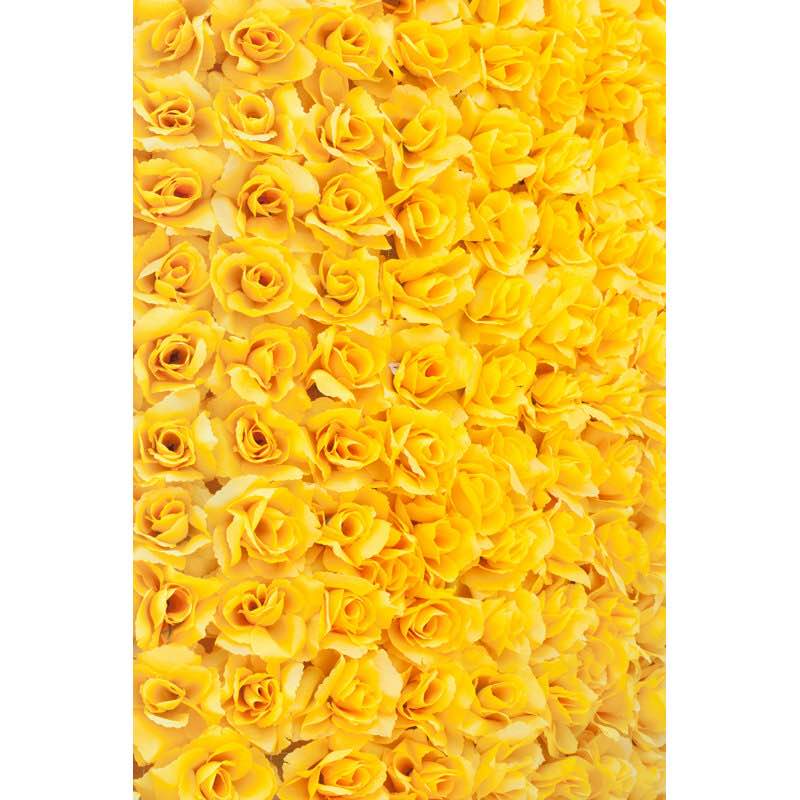 “yellow rose background” canvas by meccasky, 12”x18” 