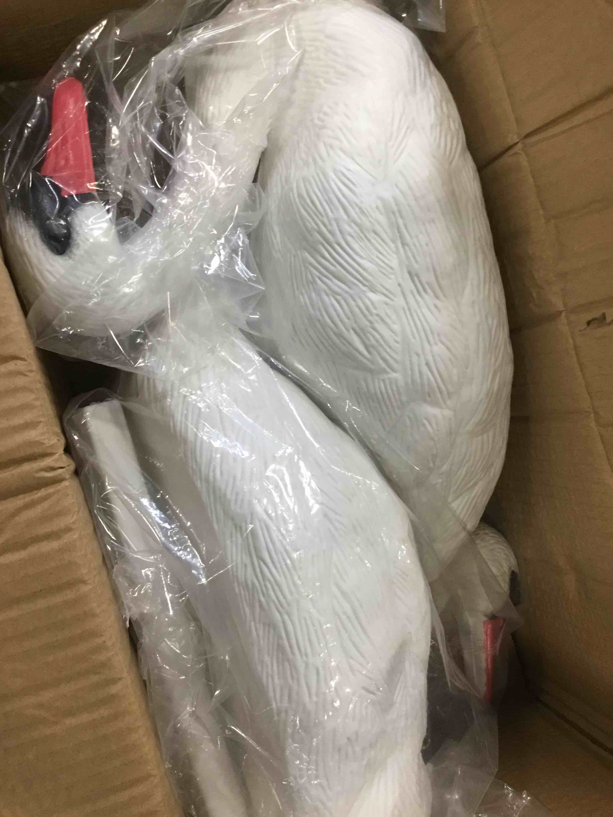 https://s3.amazonaws.com/lotting-images-prod/bidfta/PPE3456433_1750532646358.jpeg