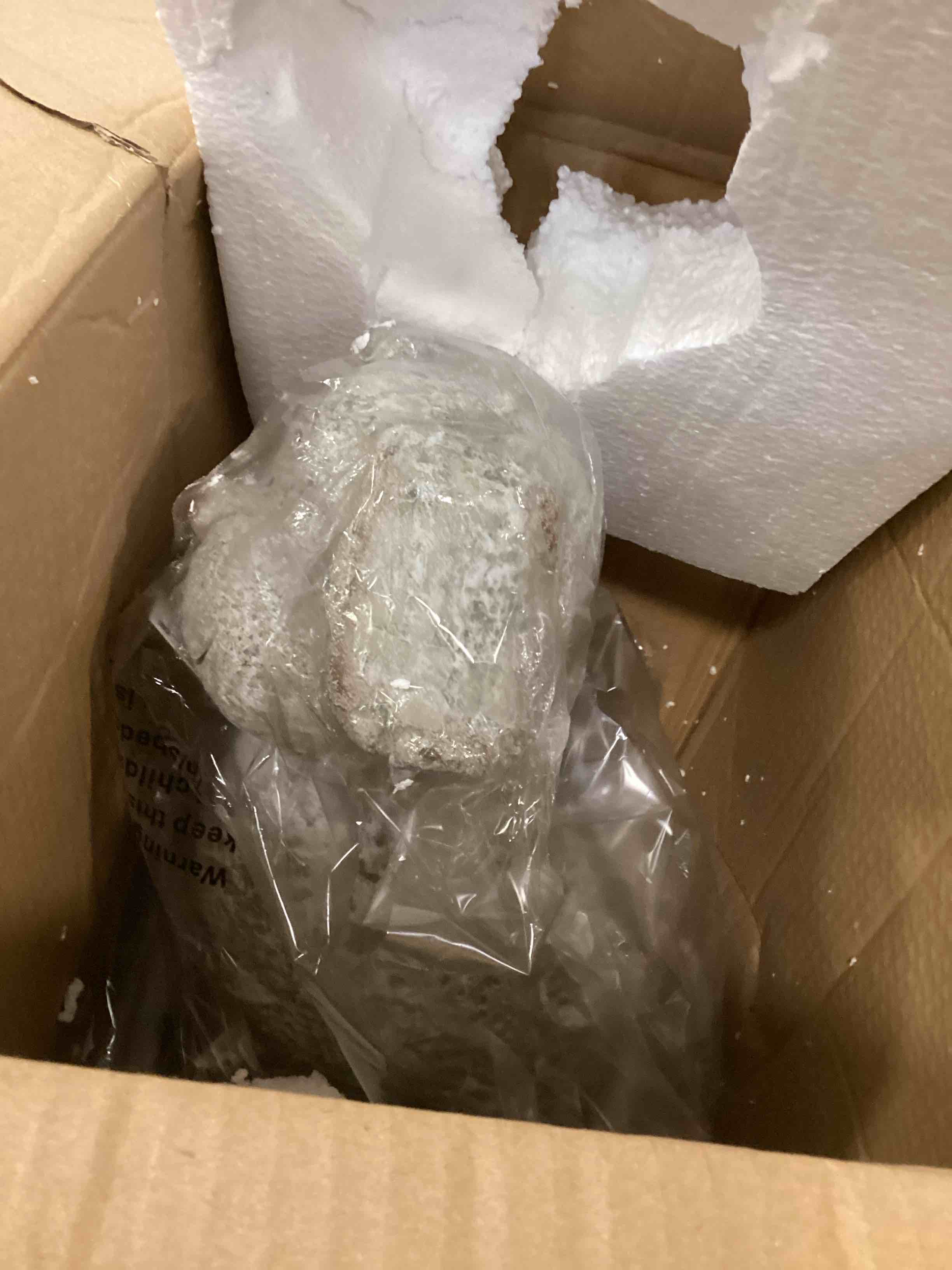 https://s3.amazonaws.com/lotting-images-prod/bidfta/PPE3474225_1749831218326.jpeg