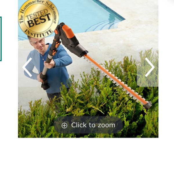 The Best Long Reach Hedge Trimmer