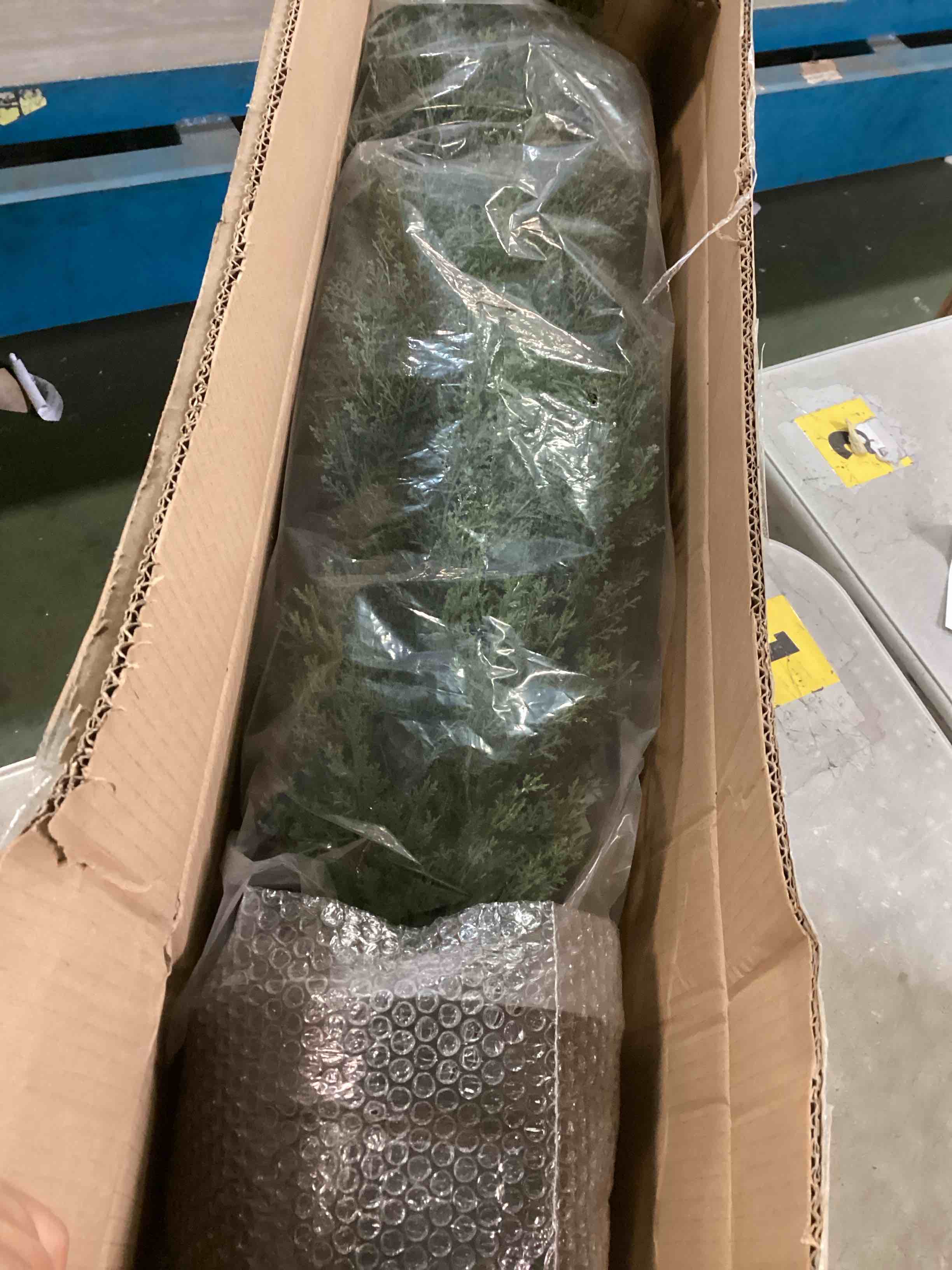 https://s3.amazonaws.com/lotting-images-prod/bidfta/PPE3494084_1746813925712.jpeg