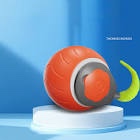 Speedy Cat Tail Toy 2.0,USB Rechargeable Smart Interactive Cat Ball,Automatic Moving Ball Toy for Indoor Cats, Replaceable Tail Assorted Colors 