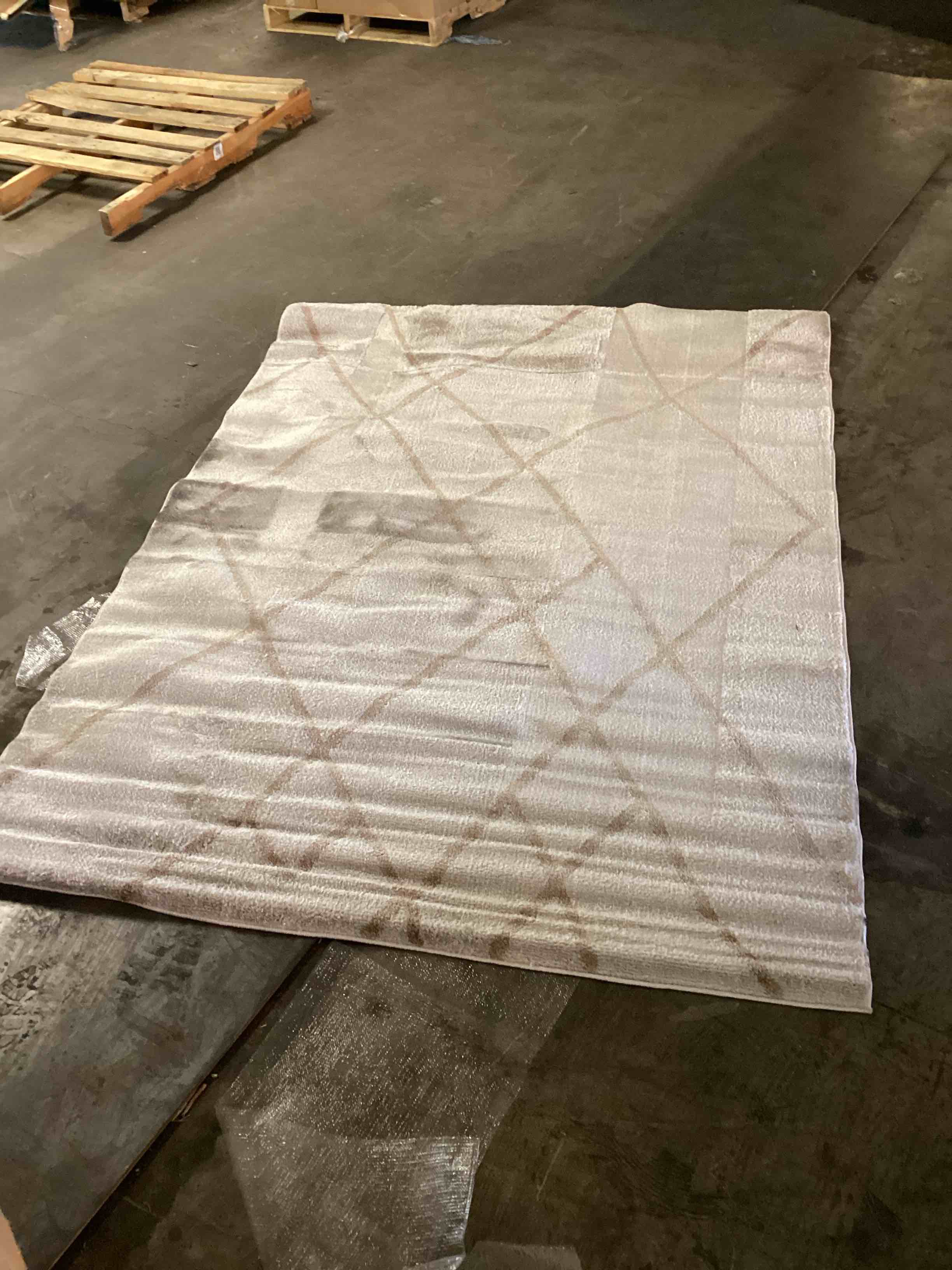 Rakkas Collection Ohio Area Rug (5’*7’) grey/ bej