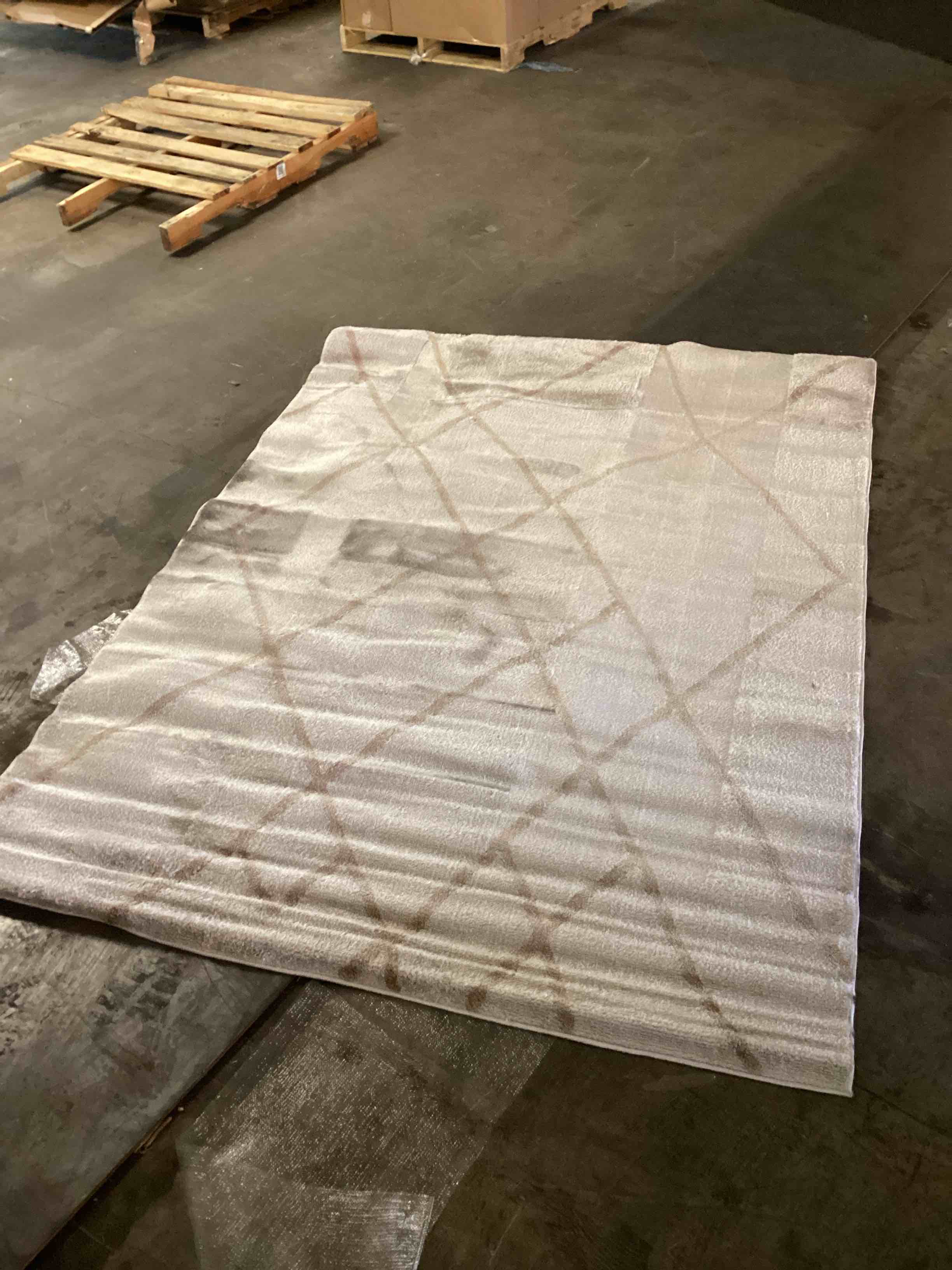 Rakkas Collection Ohio Area Rug (5’*7’) grey/ bej