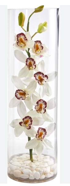 Amazon.com: Nearly Natural Cymbidium Orchid Artificial Arrangement in Tall Cylinder Vase : Home & Kitchen