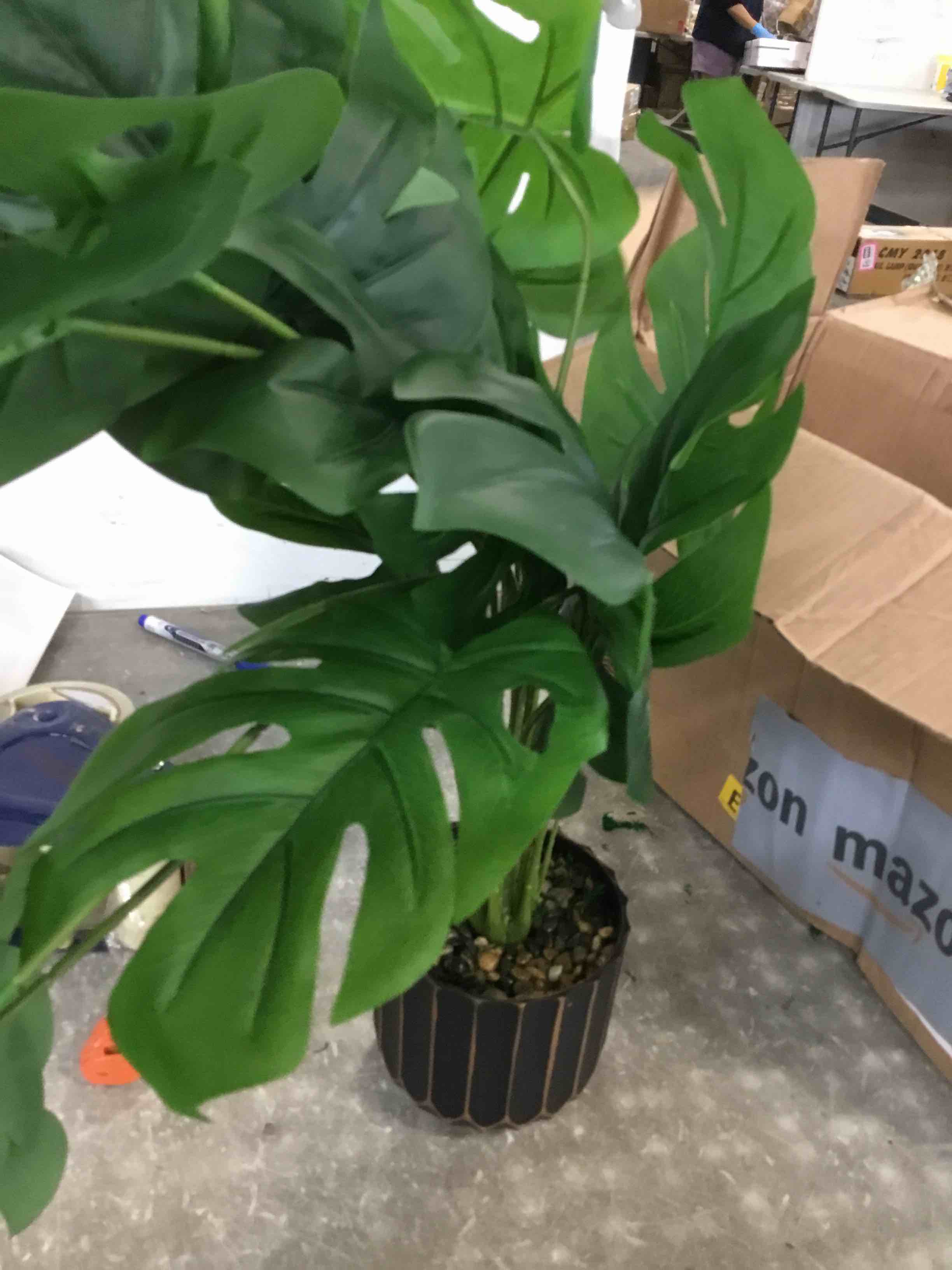 https://s3.amazonaws.com/lotting-images-prod/bidfta/PPE3691630_1749300983025.jpeg
