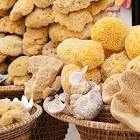 paderborn natural sea sponge 3 piece canvas 