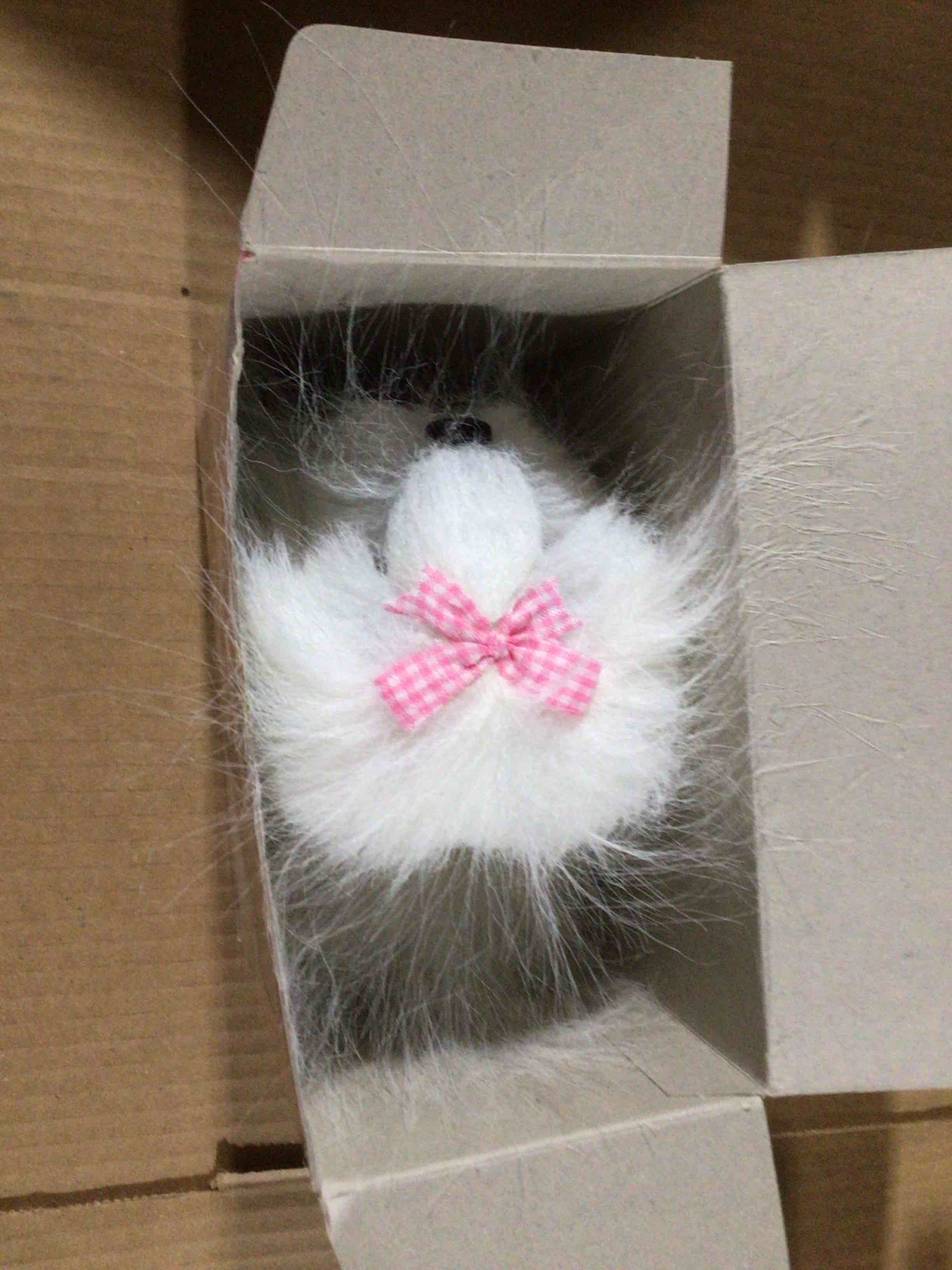 Condition photo showing Good Condition for Magnificent Maltese - white animated plush pet , toiletry brush interactive toy ,toddler18 months