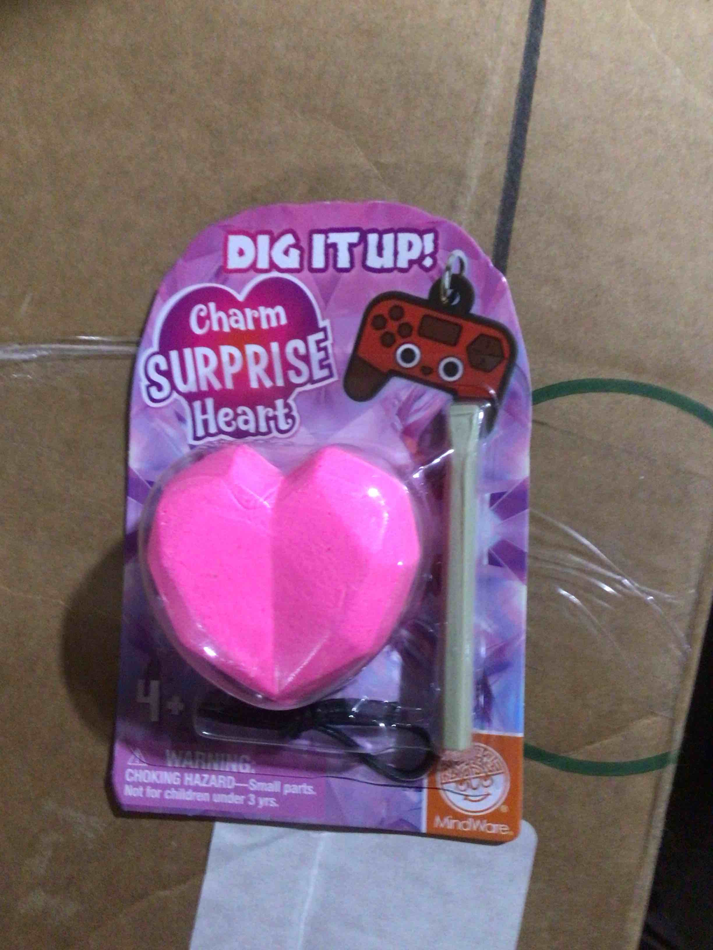 heart Dig It Up Charm Bracelet Discovery – STEM