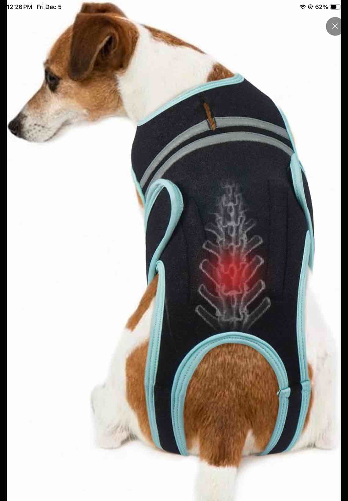 Splash About Happy Nappy Swim Diaper, Shark Reef, 3-6 Months