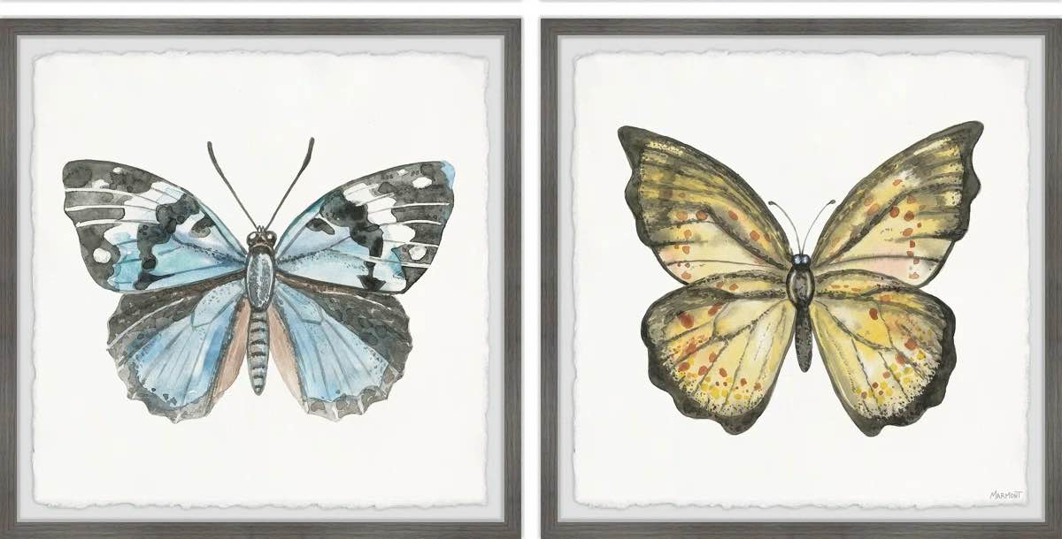 Fly like a butterfly Frame Art 2pk (18” x 18”)
