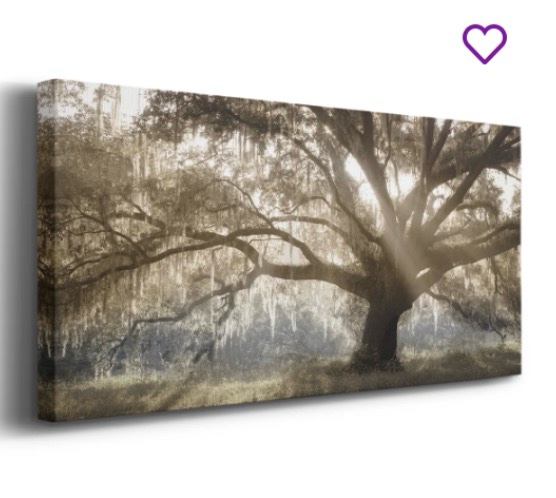 Virginia Oak - Gallery Wrapped Cavas