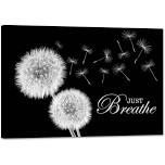Zen Wall Decor Motivation Dandelion Just Breathe Canvas Print Artwor
