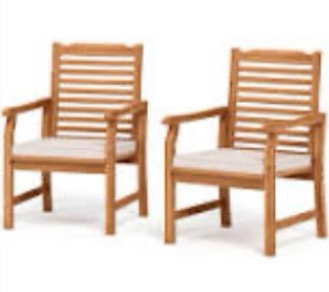 Doru Wood Outdoor Dining Armchair with Cushion (Set of 2)